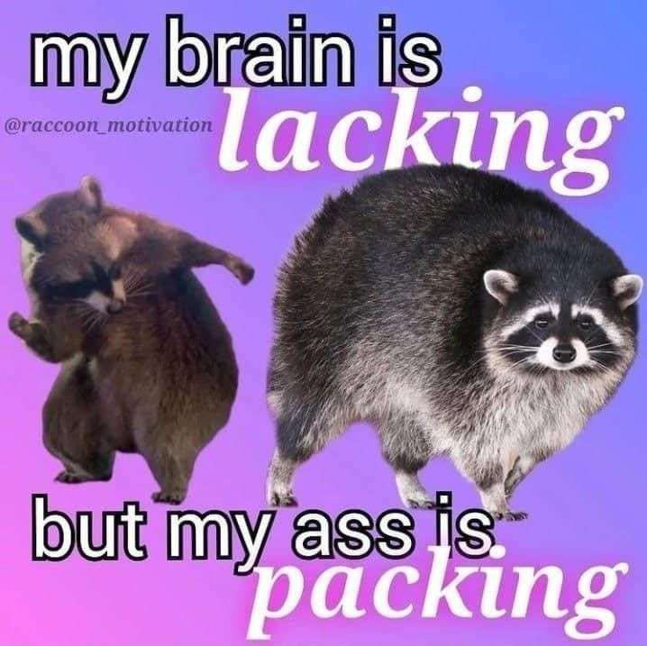 Meme Collection Volume 2