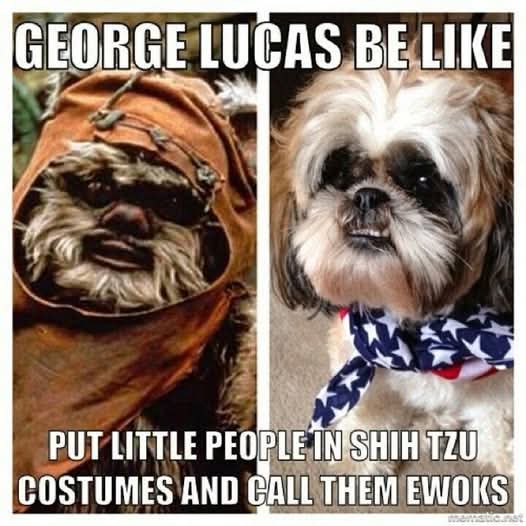 Yub Nub: A Classic Celebration!