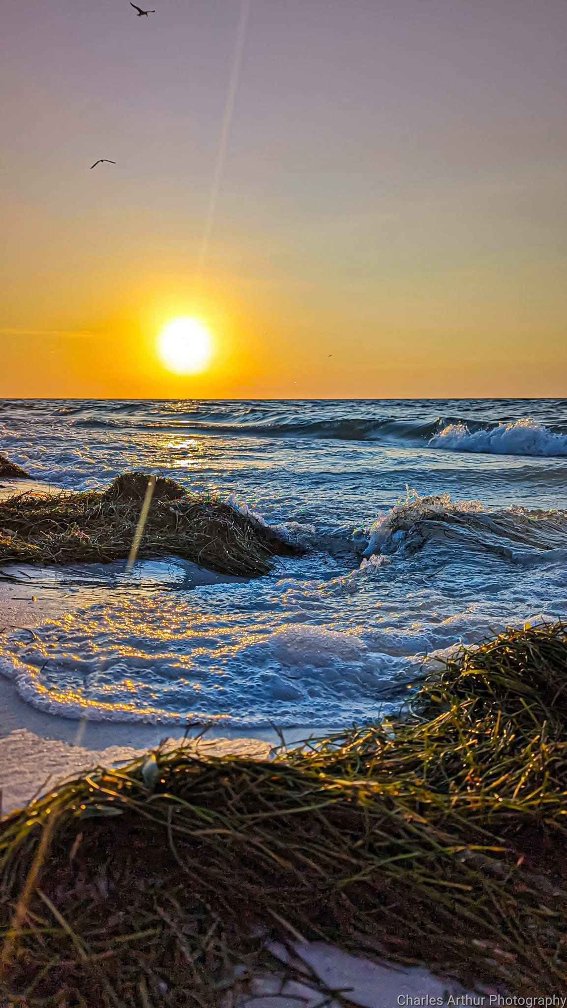 A New Day Begins: Capturing the Beauty of Sunrise