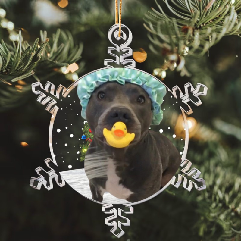 Pitbull enjoying a bath: the ornament edition!