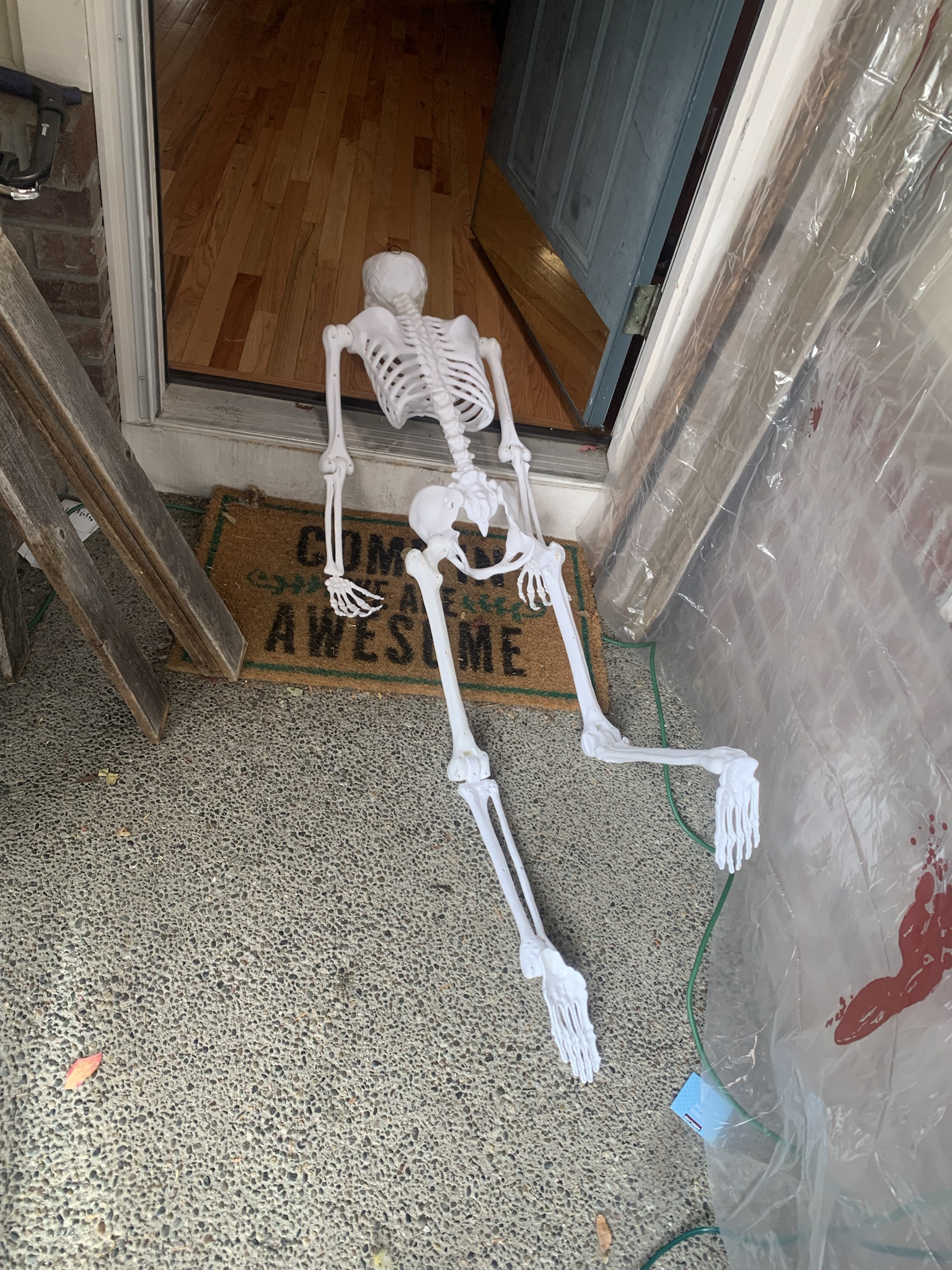 My Skeleton's Not Happy: Caught in the Act of Falling!