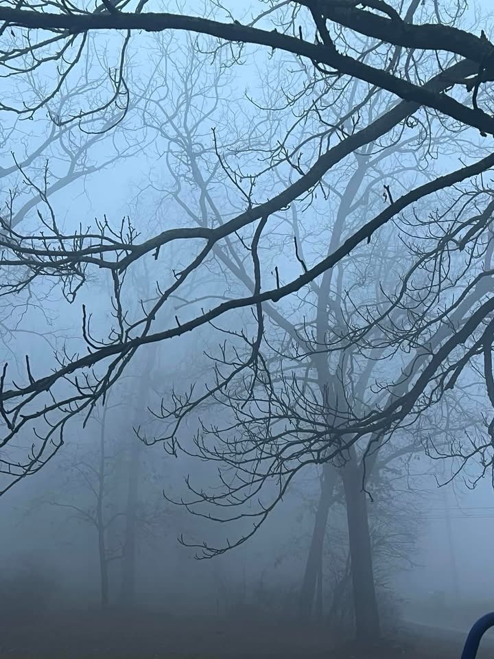 A serene and foggy morning unfolds.