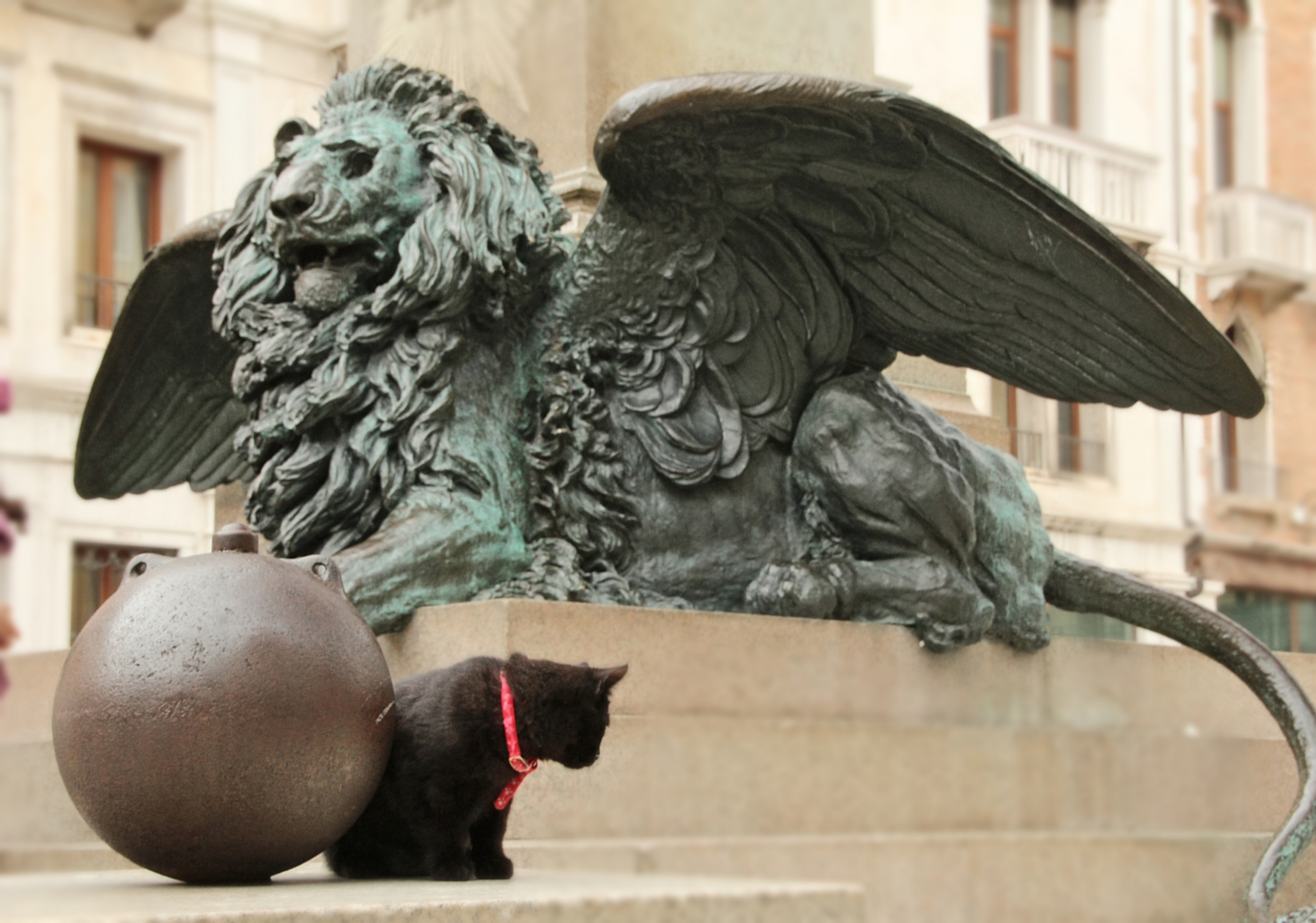 Qui audet adipiscitur? Still Struggling with That Ball!
