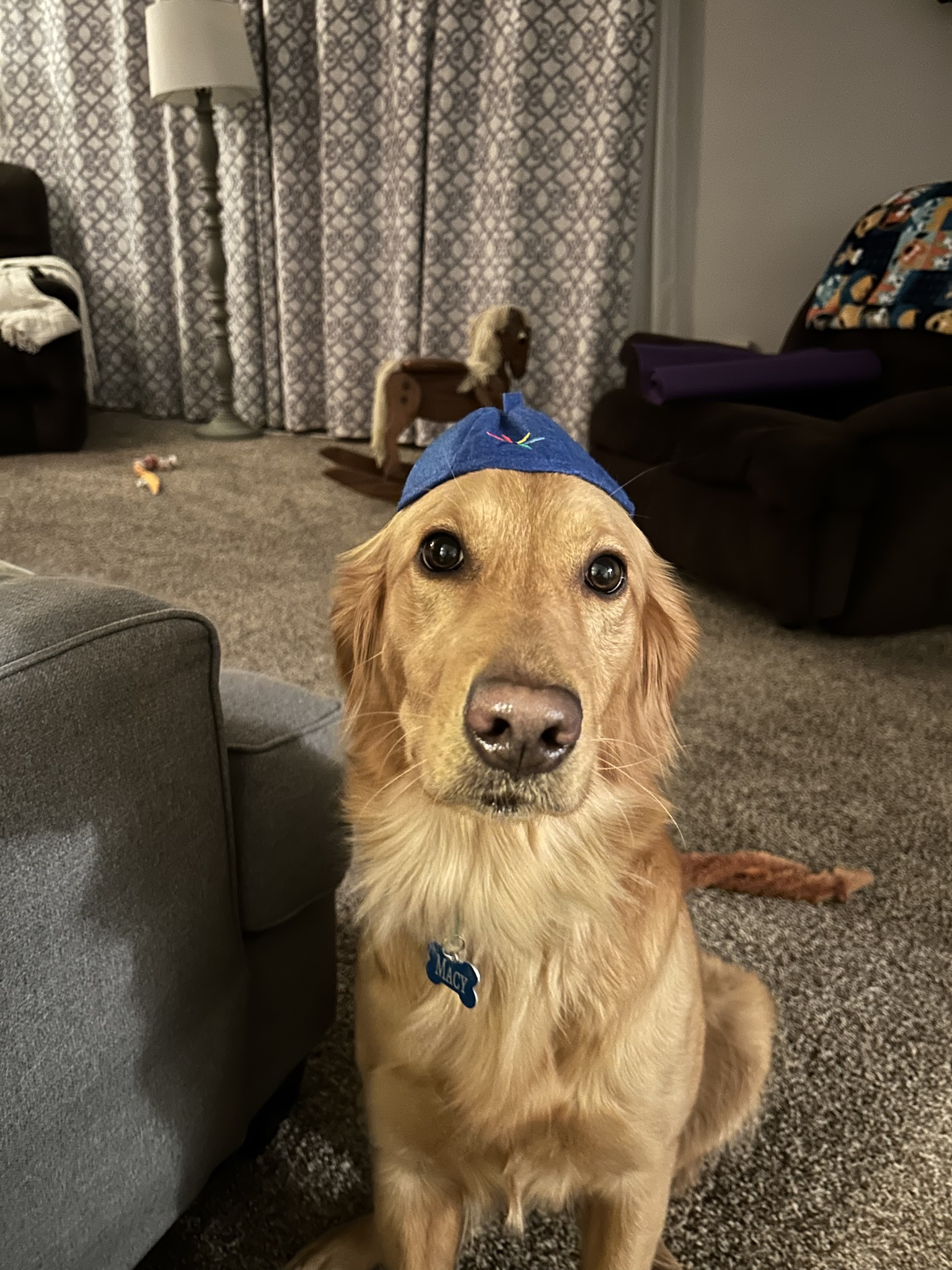 Macy is on her journey as a Girl Scout in training