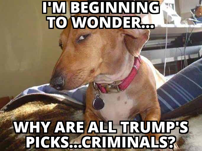 Pondering Life's Mysteries...