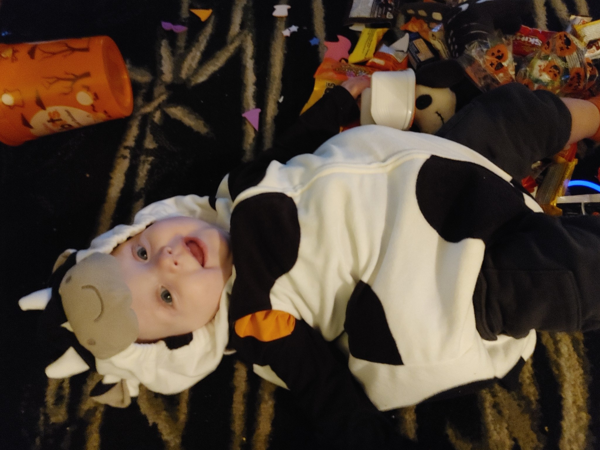 Theo's Spooktacular First Halloween Adventure