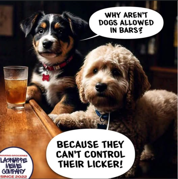 Dogs taking over the bar: A furry invasion!