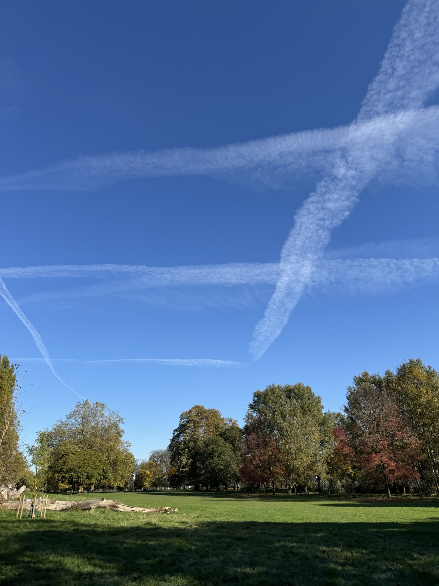 Contrails Over Brockwell Park: A Stunning Sight from London