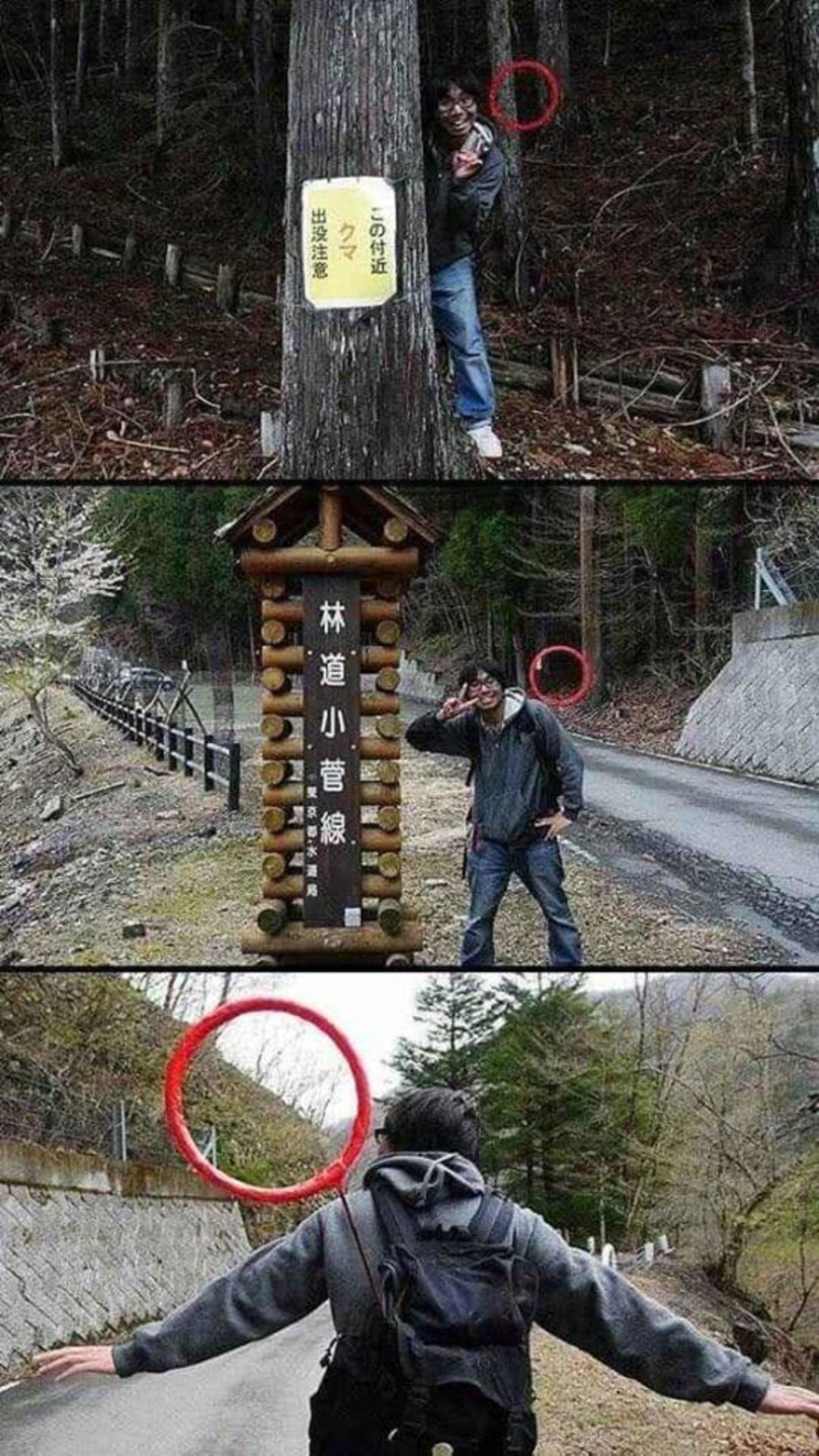 Mastering the Art of Trolling with Vacation Snapshots