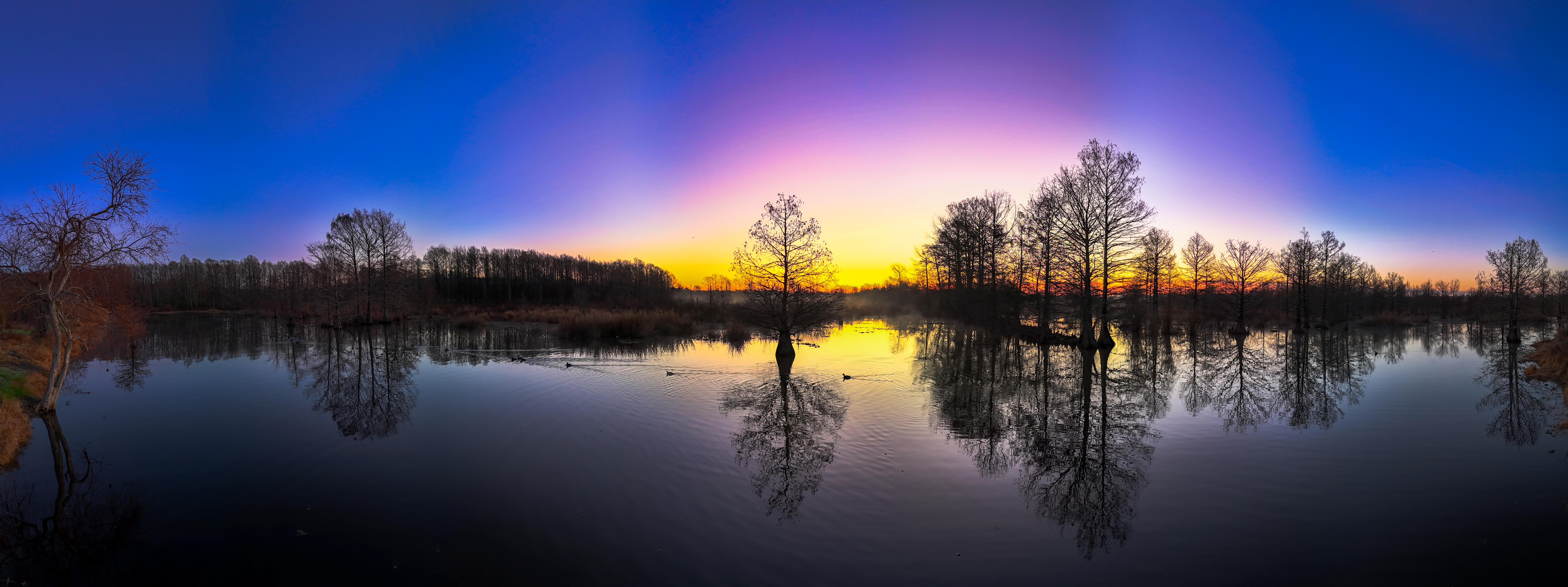 Ducks on the Move: A Dawn Adventure