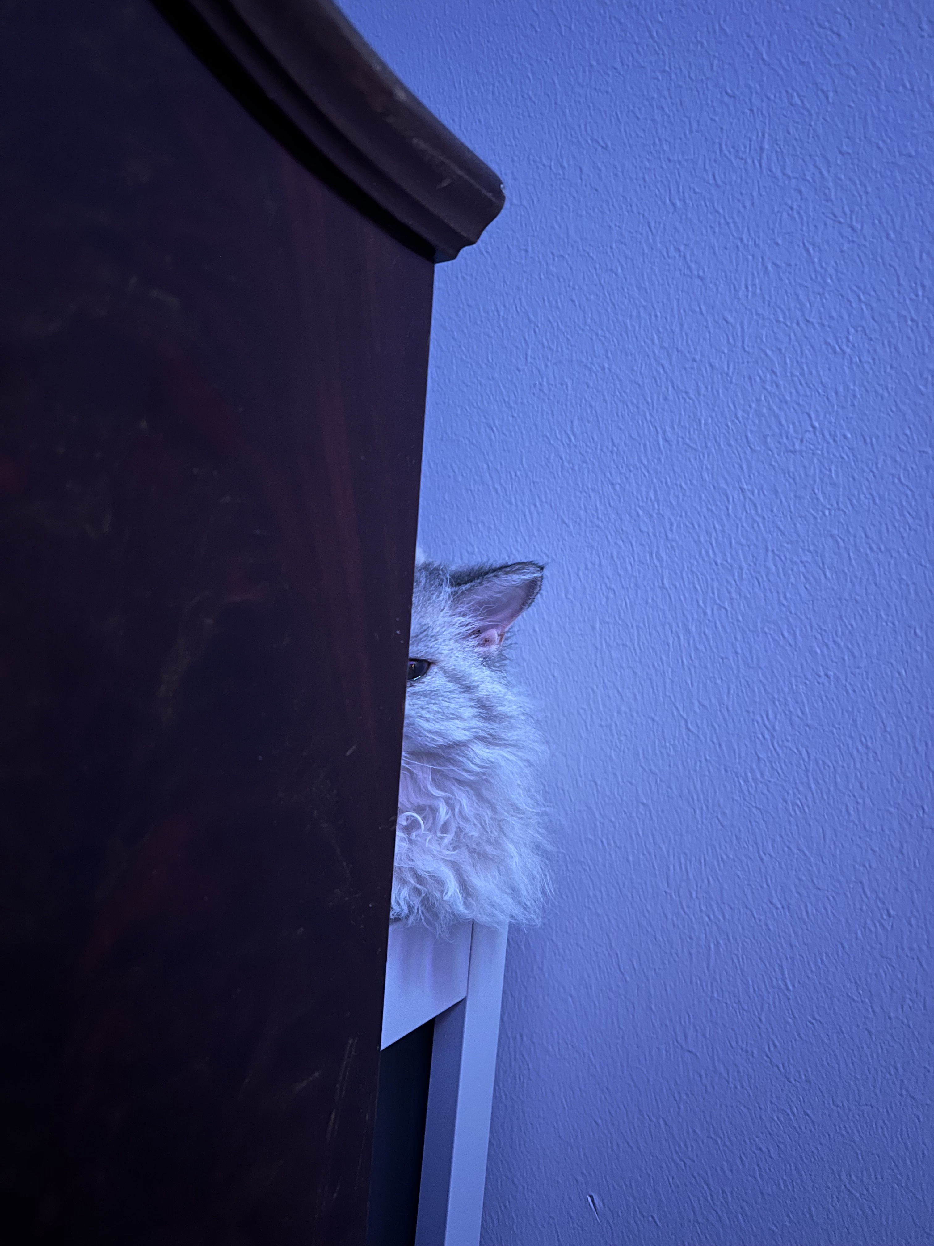 The Secret Life of a Spy