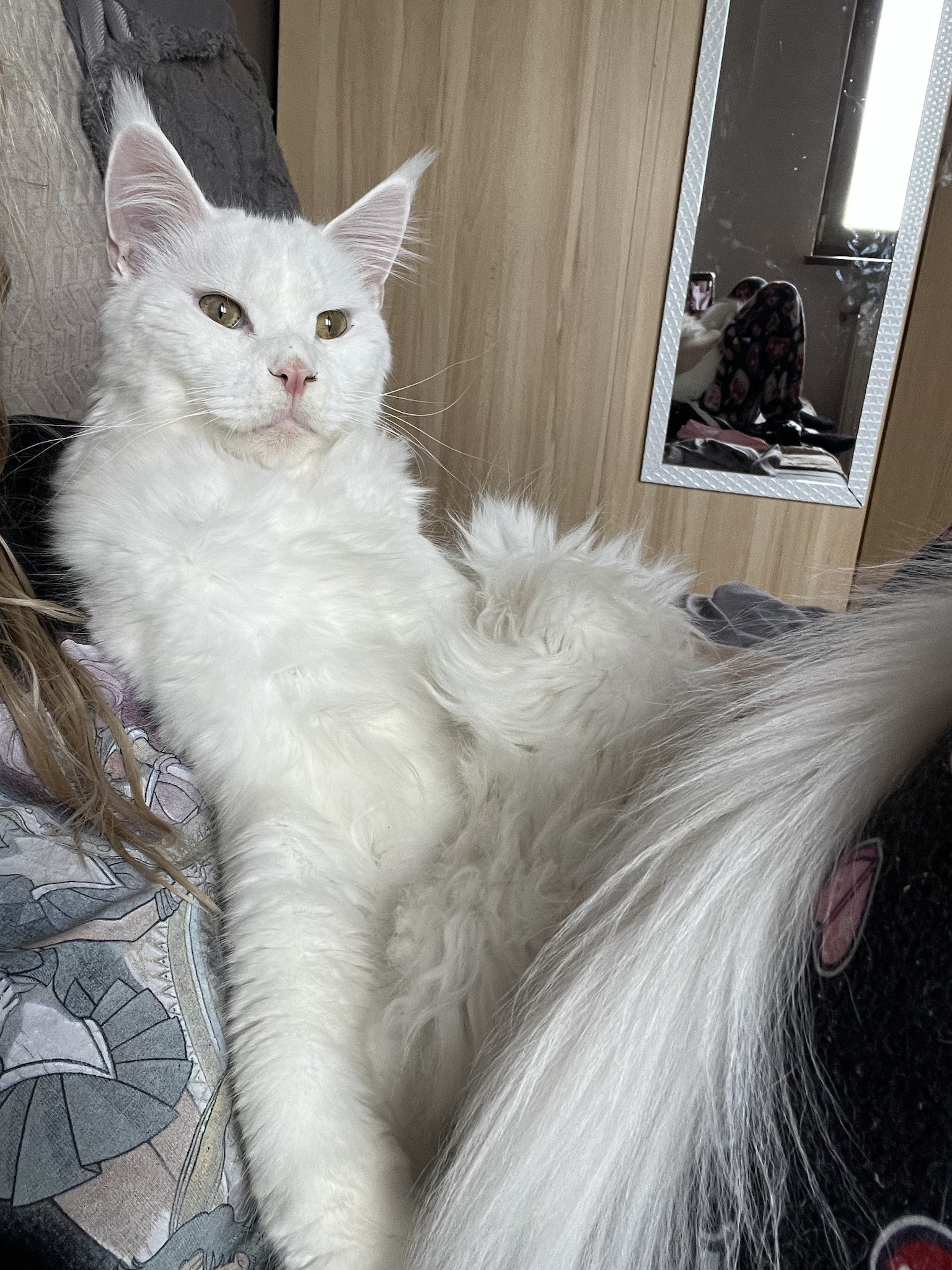 The Wise Wizard: Gandalf