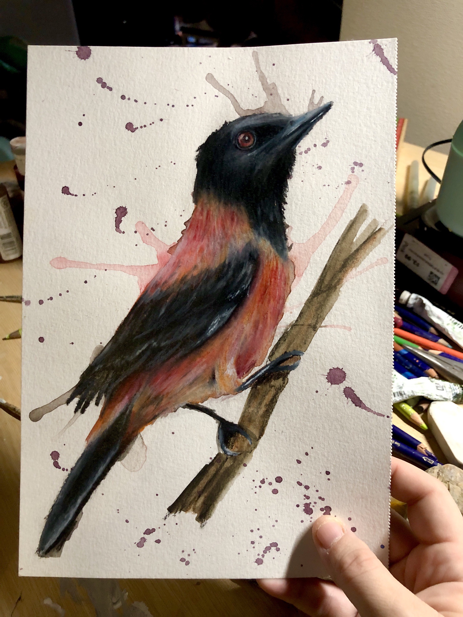 Check Out My Drawing of a Poisonous Bird!