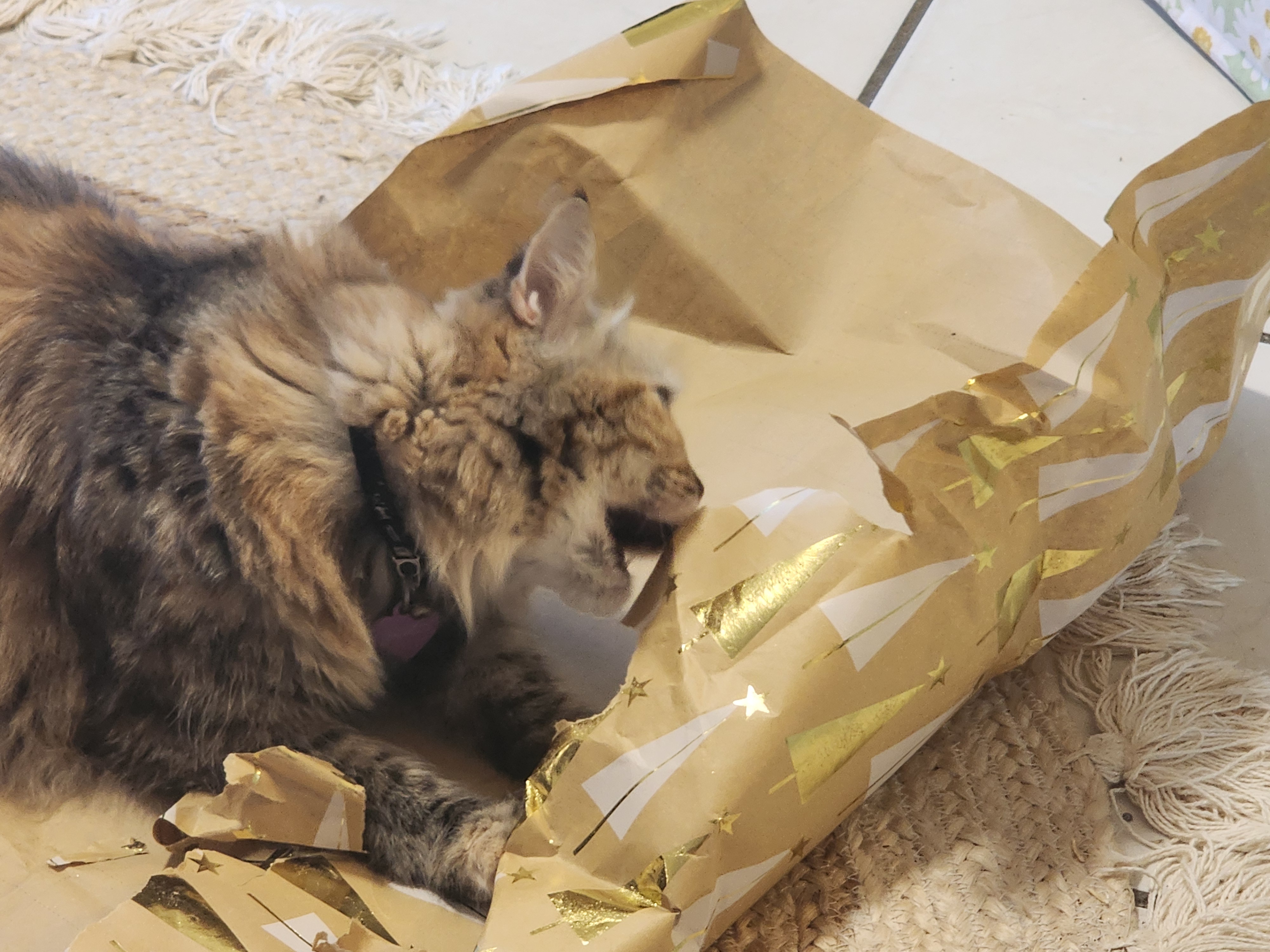 Spazzle Monch Takes on Wrapping Paper Mayhem