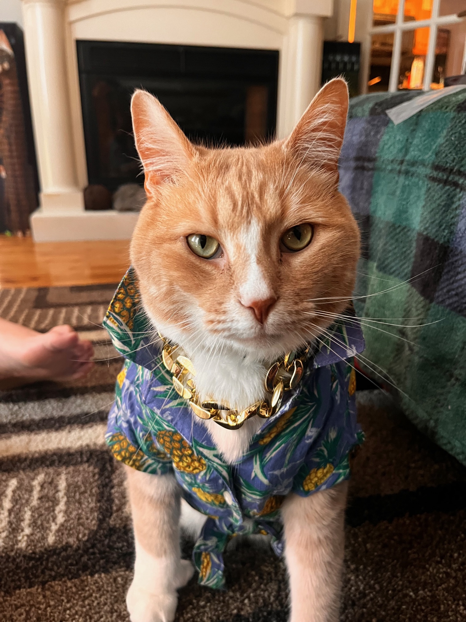 Ultimate swag levels achieved!