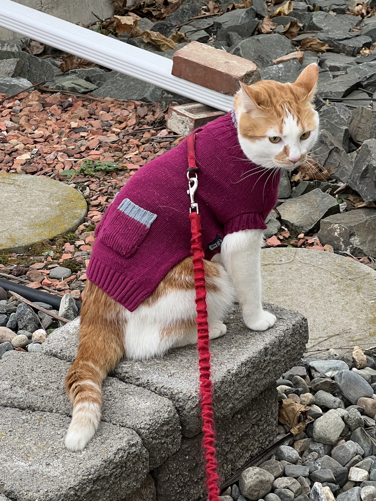 Time to Break Out the Sweaters!