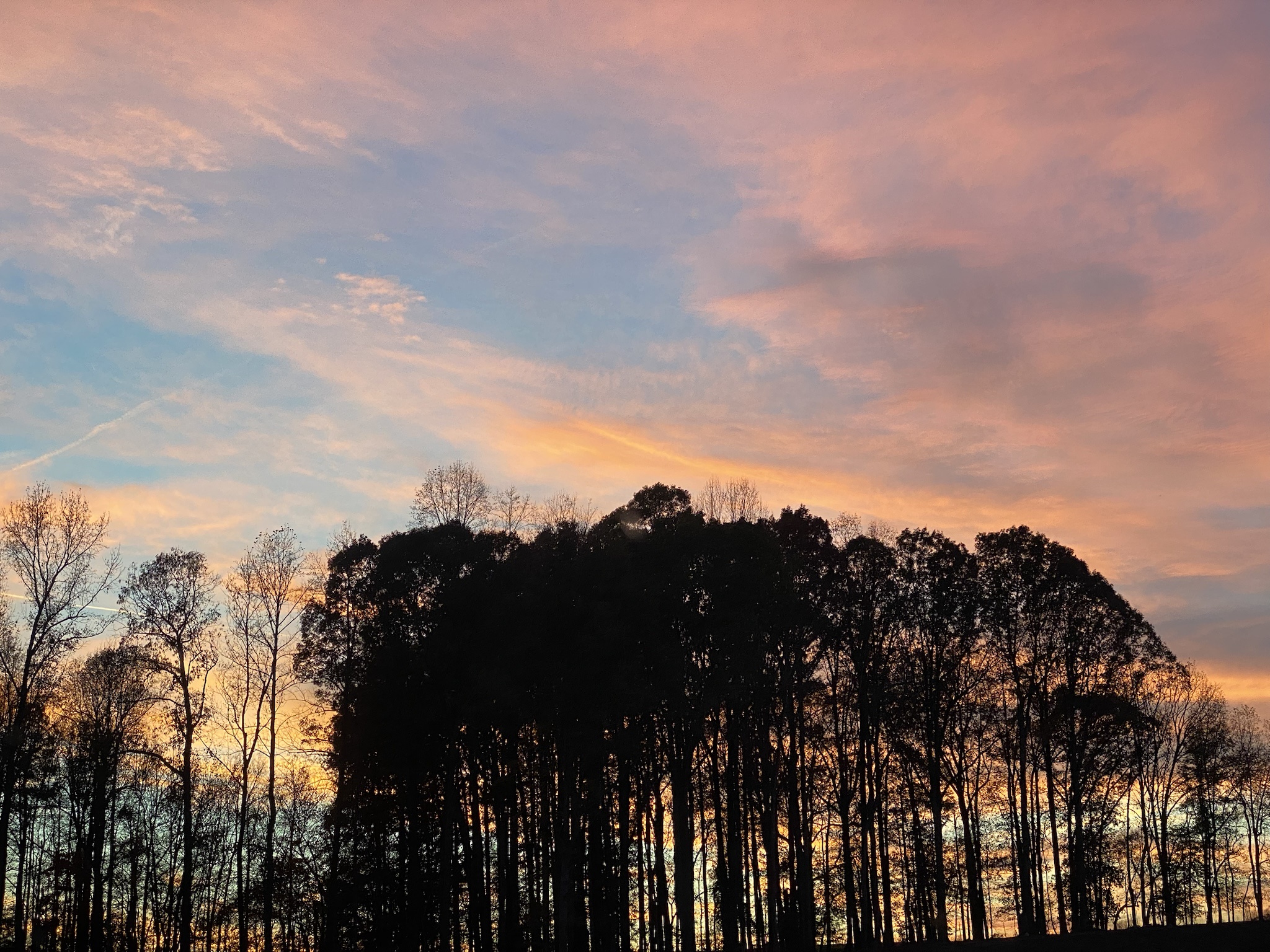 Look at This Stunning Evening Sky!