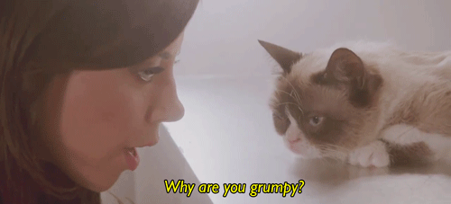 Aubrey Meets the Legendary Grumpy Cat