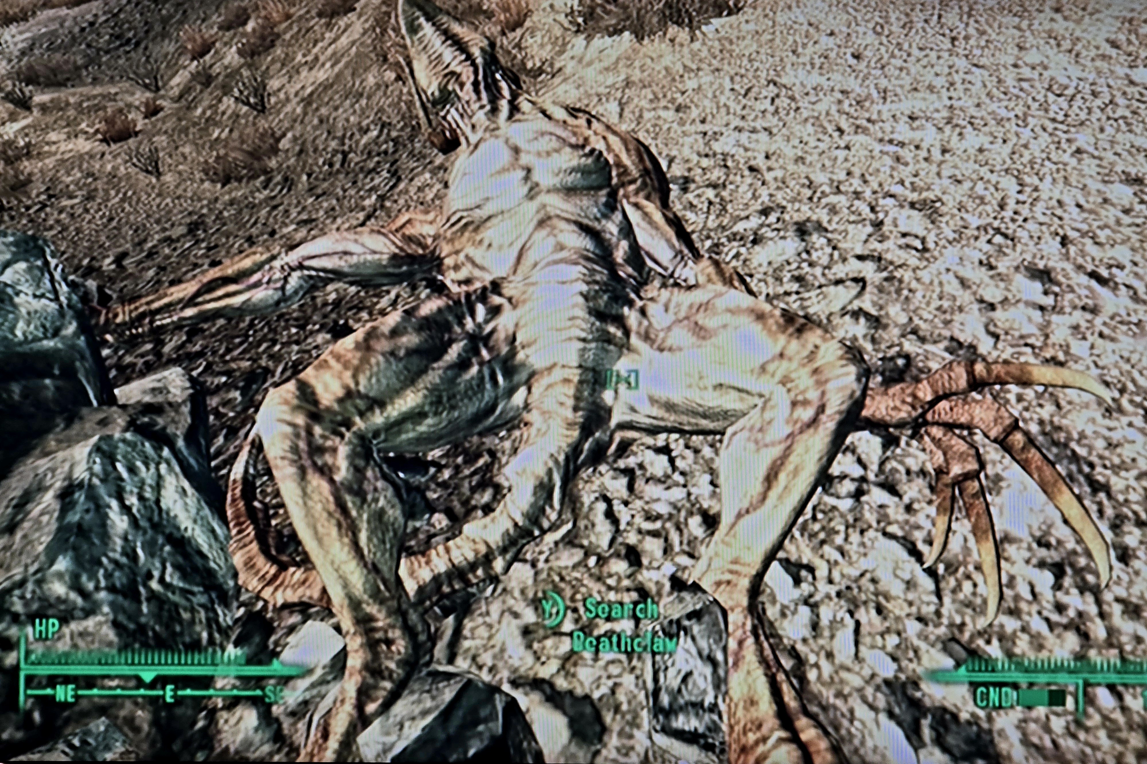 The Allure of the Stupid Sexy Deathclaw