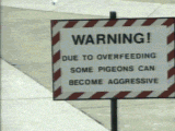 Dive into Our Retro Gif Collection: Part 18