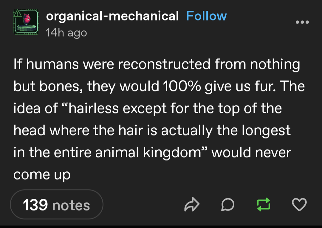 What if humans were just a collection of bones?