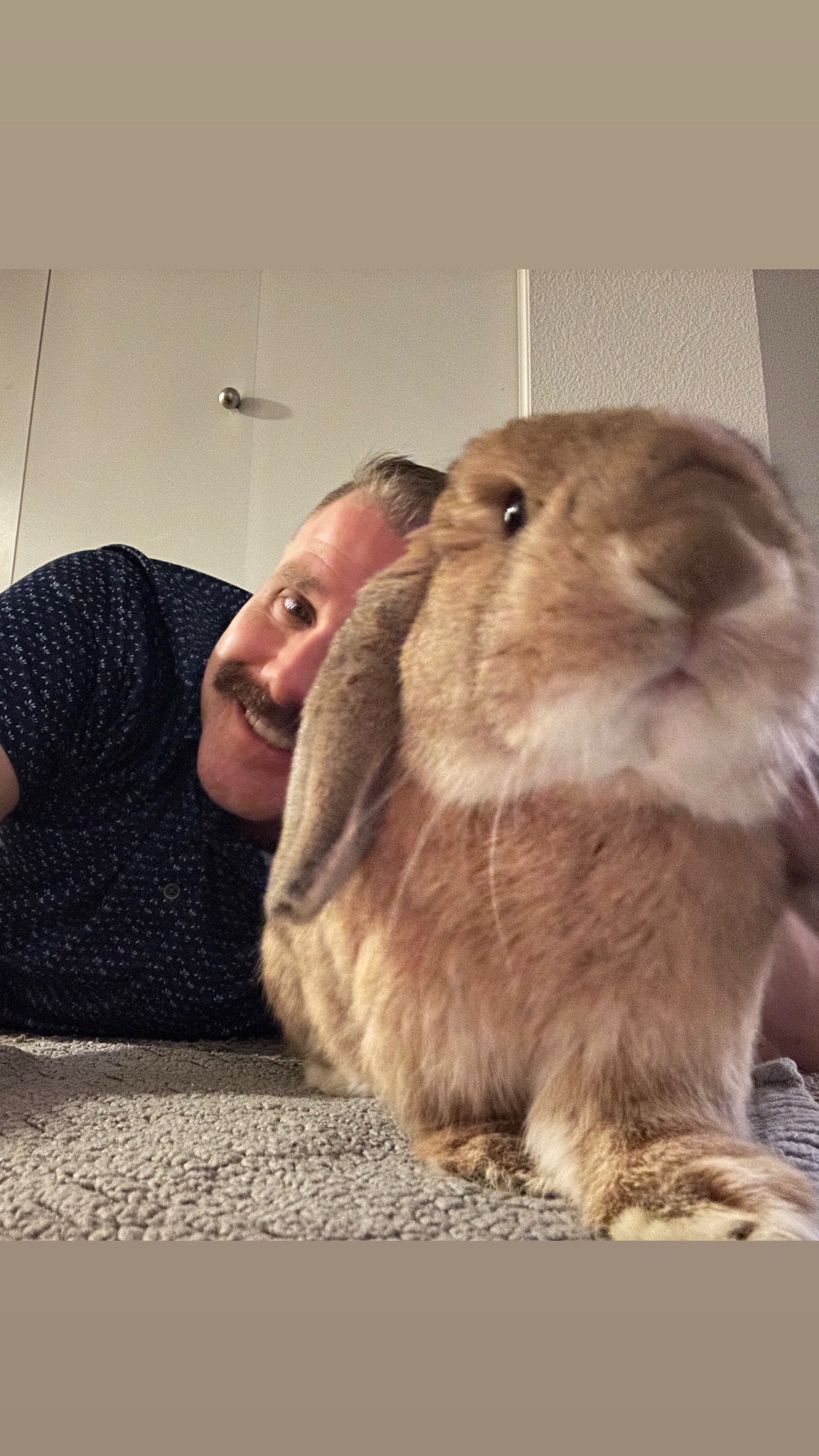 Wishing You a Merry Bunmas Celebration!