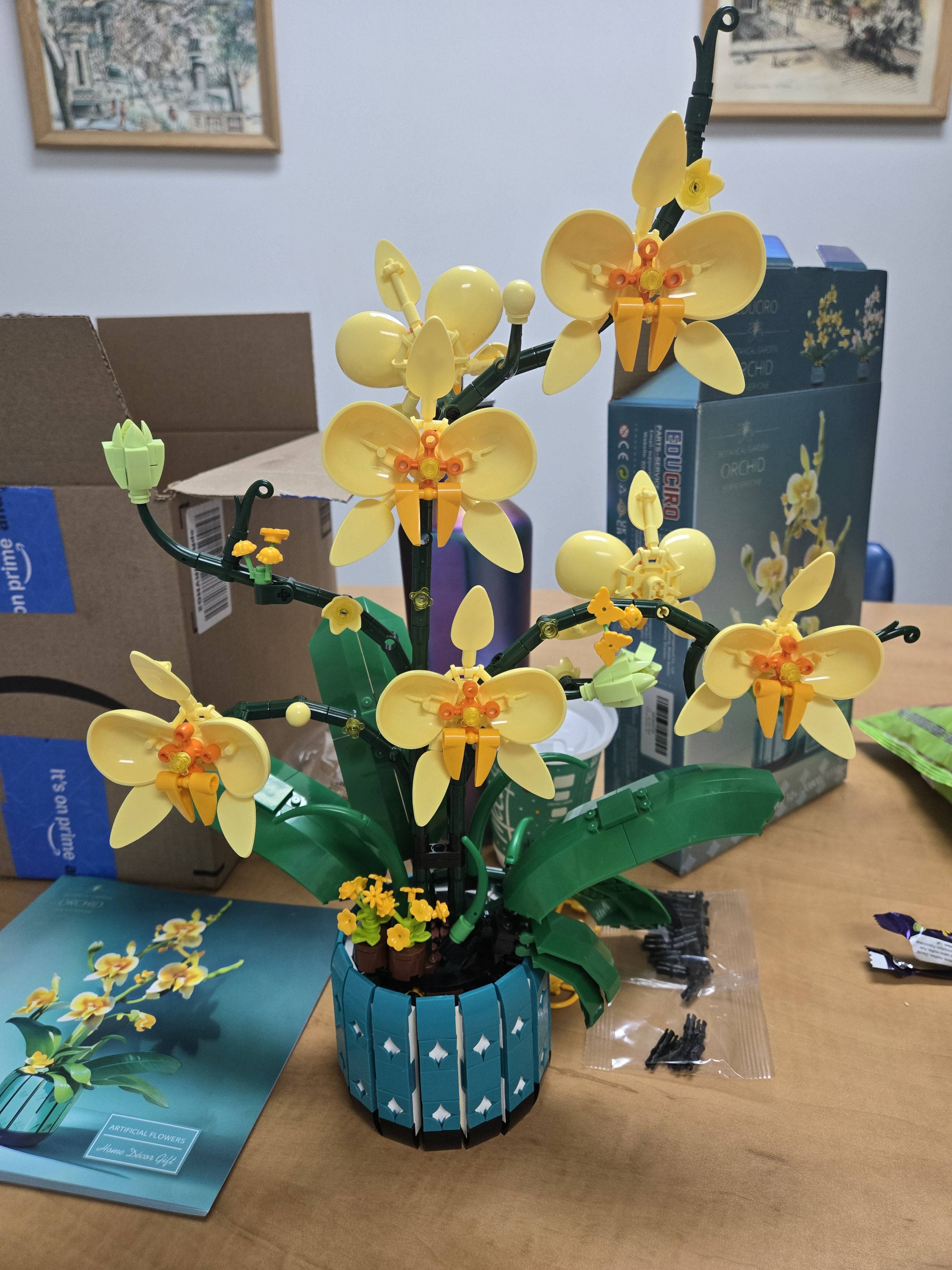 Mission Accomplished: Orchids for Mom Are Ready!