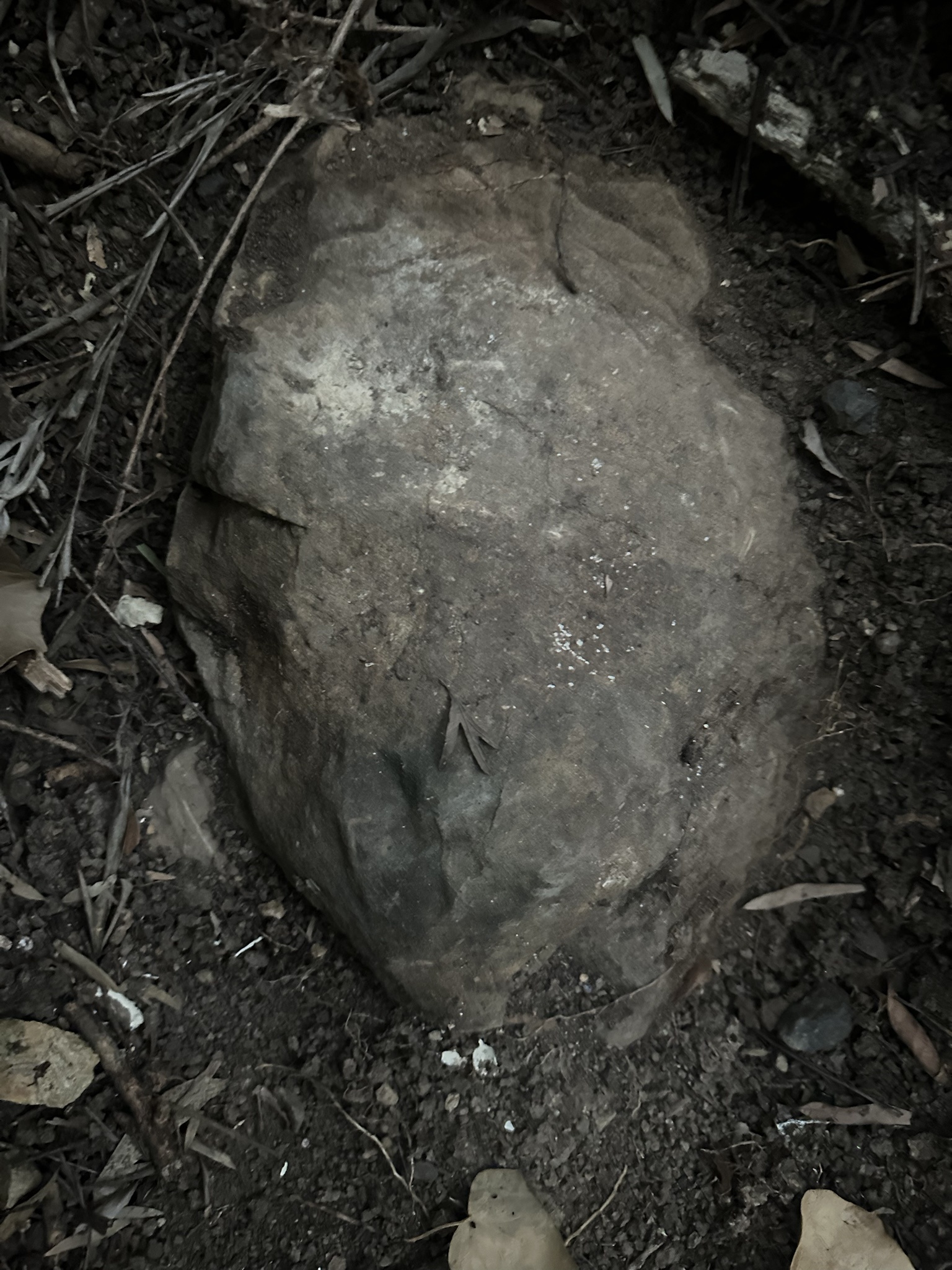 I stumbled upon this during my morning stroll.