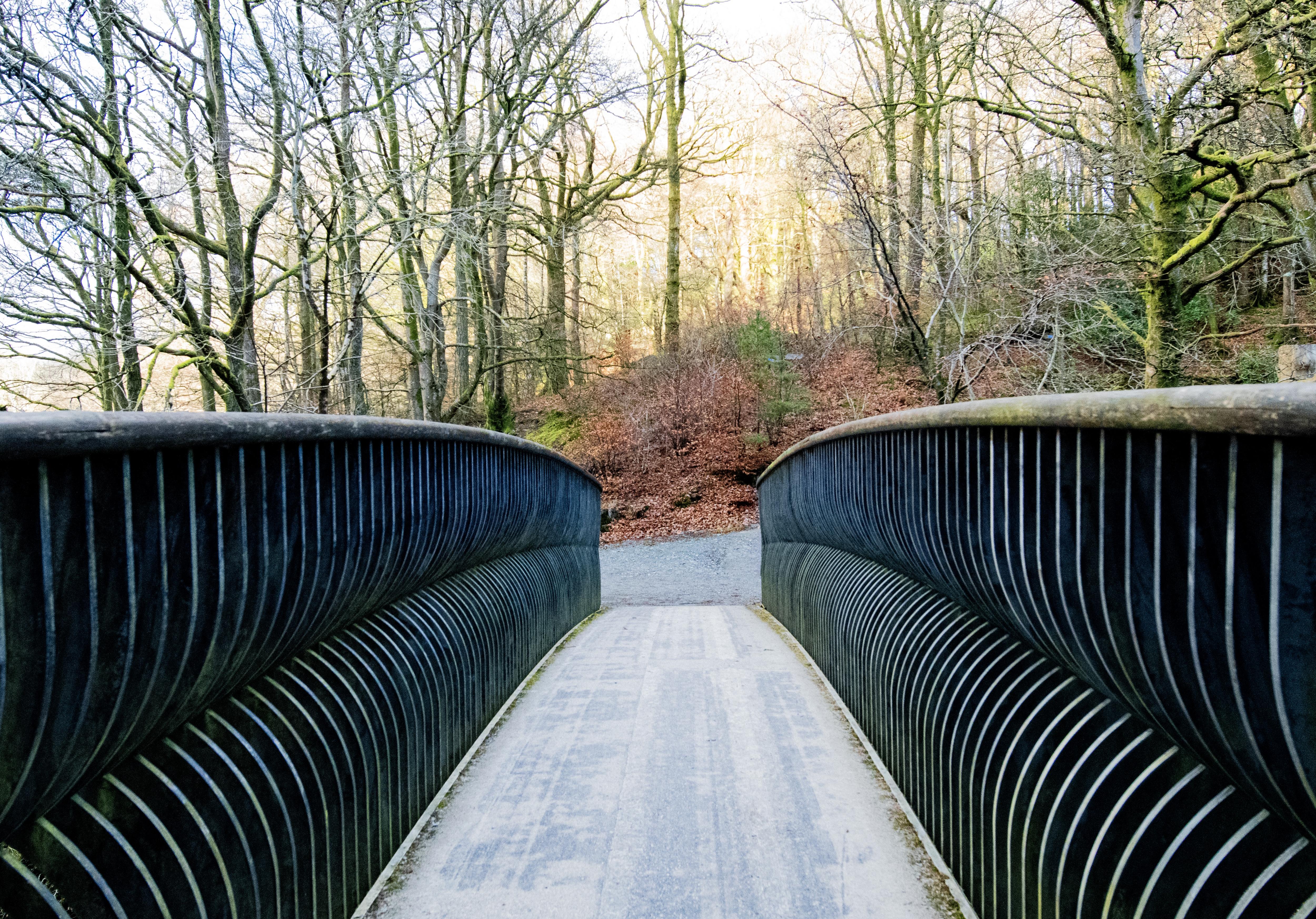 A Mind-Bending Journey Across a Trippy Bridge