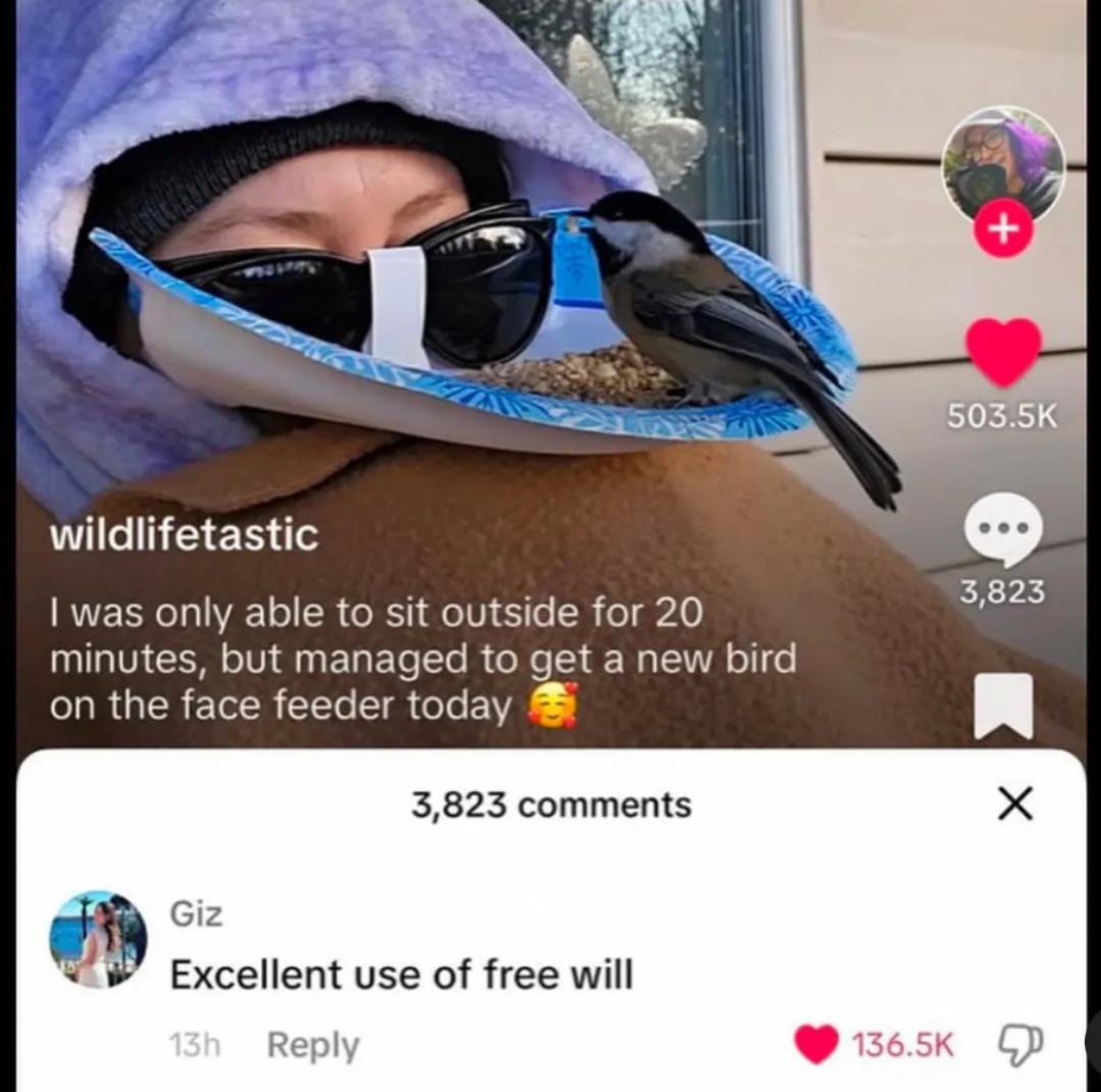 A Brilliant Display of Free Will in Action