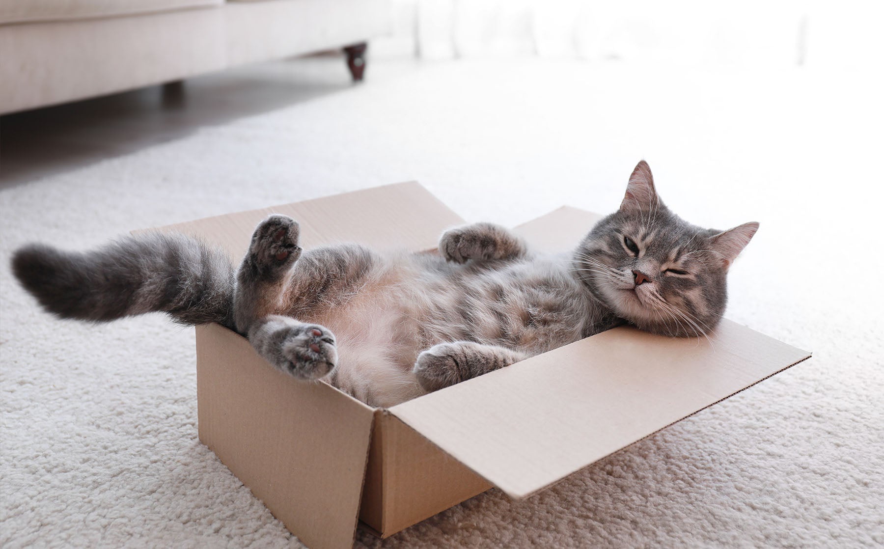Relaxation Mode: Engaged