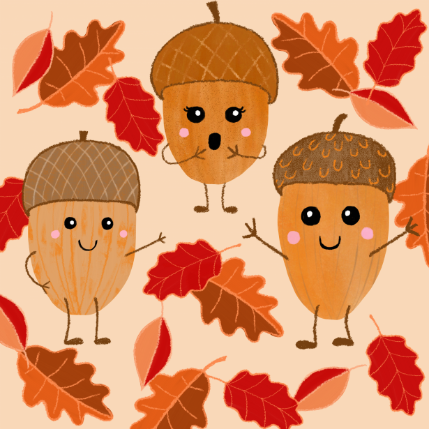 Celebrating the Start of Winter in the Northern Hemisphere!