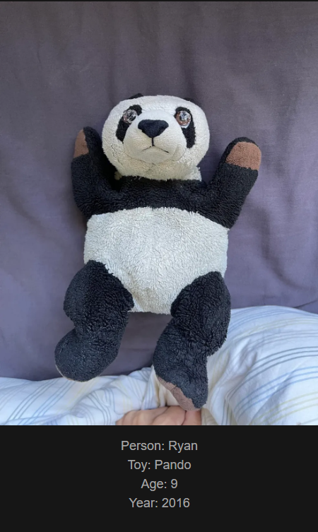 Day 819: Join me on my journey at www.saidtheskinhorse.com, where we celebrate the cherished bond with our beloved childhood toys. Meet Pando, our latest addition!