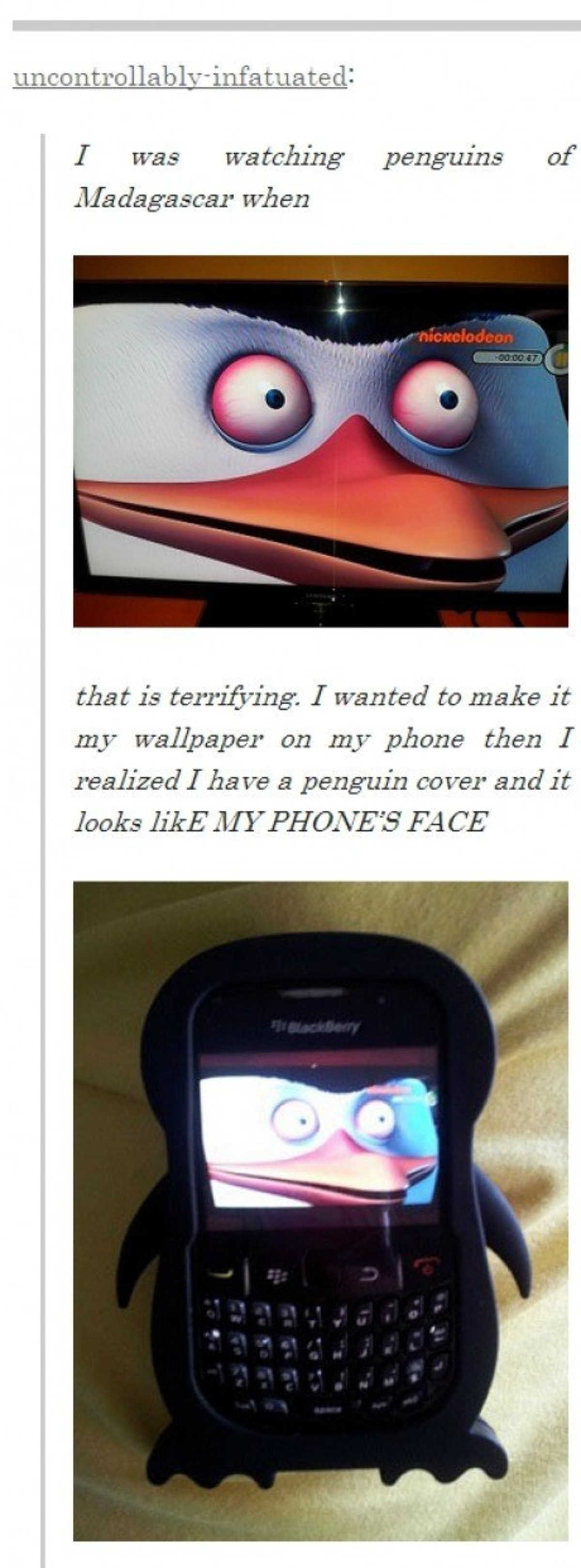 This Bird is Terrifying!