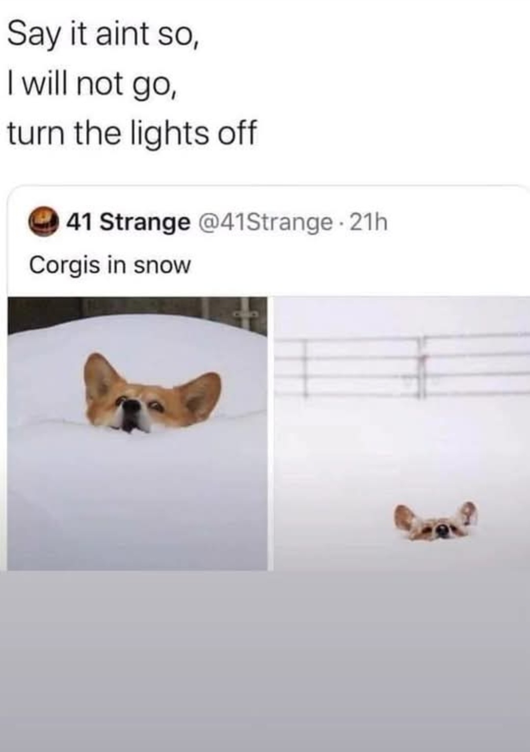 It's Time for Christmas Memes! Let's Share the Joy!