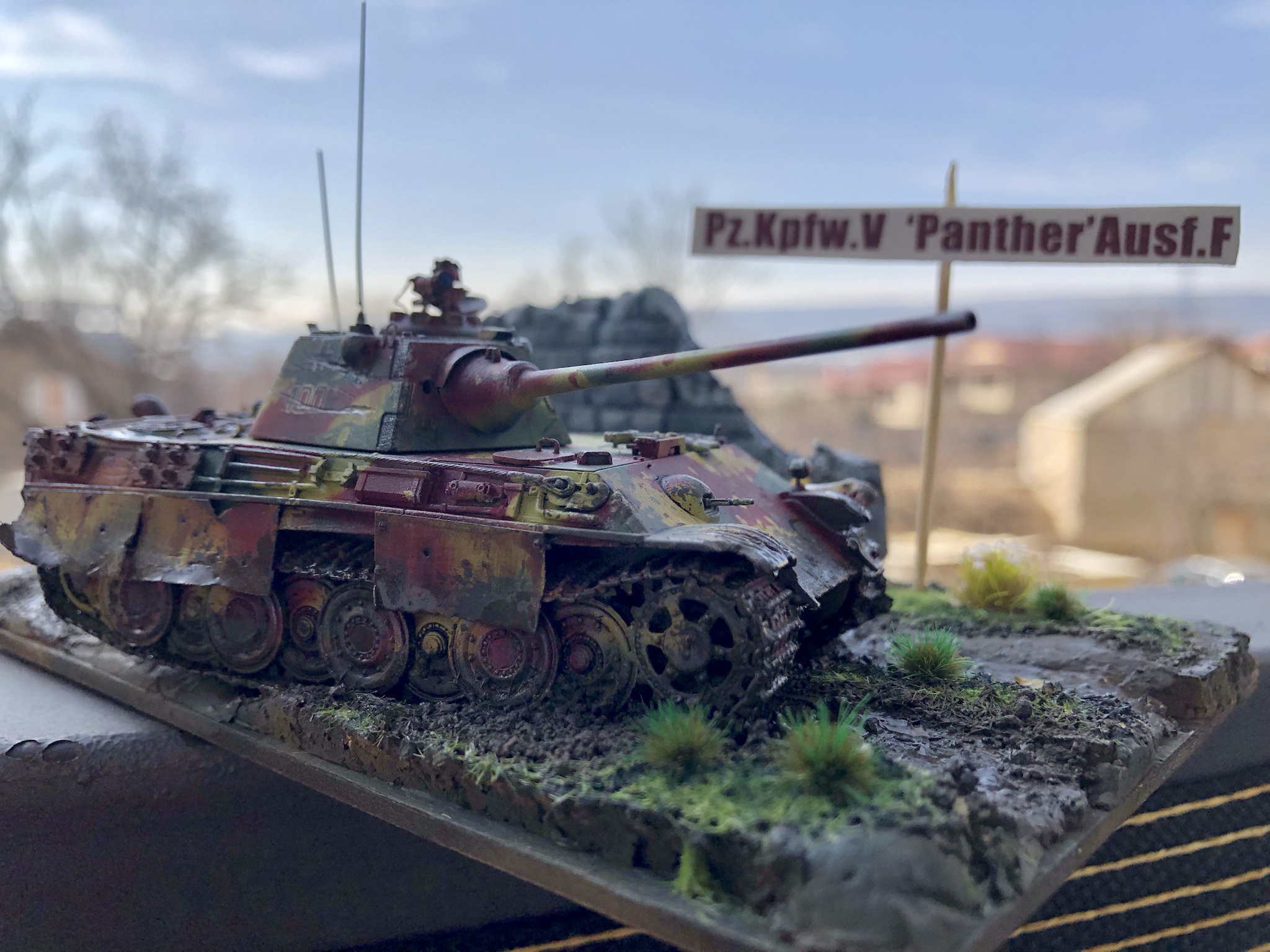 Captivating Photoshoot of Vespid Models' Panther Ausf.F 1/72