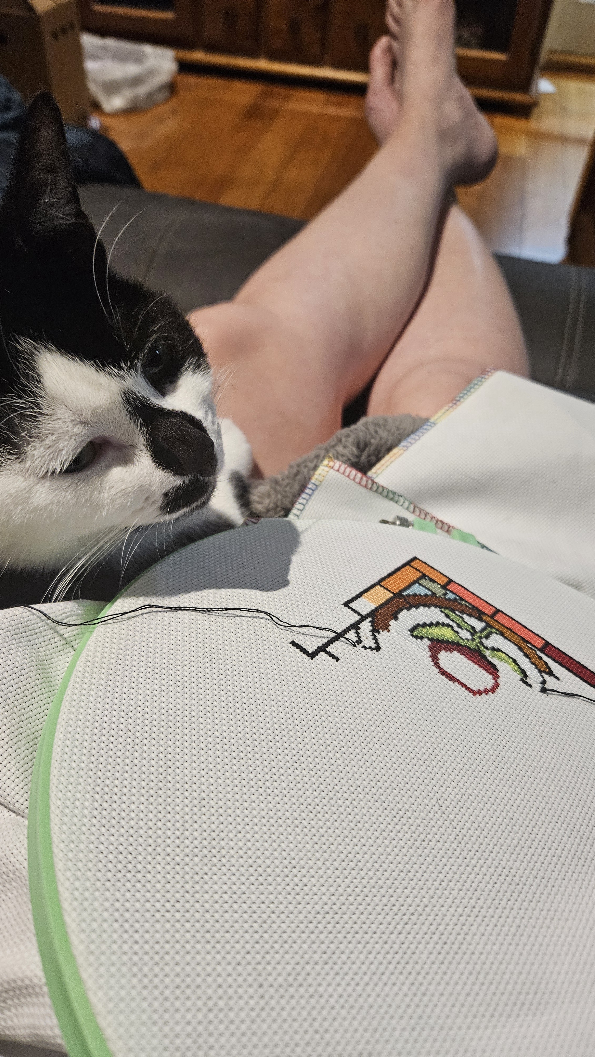 Check out more of my craft assistant, Nyx!