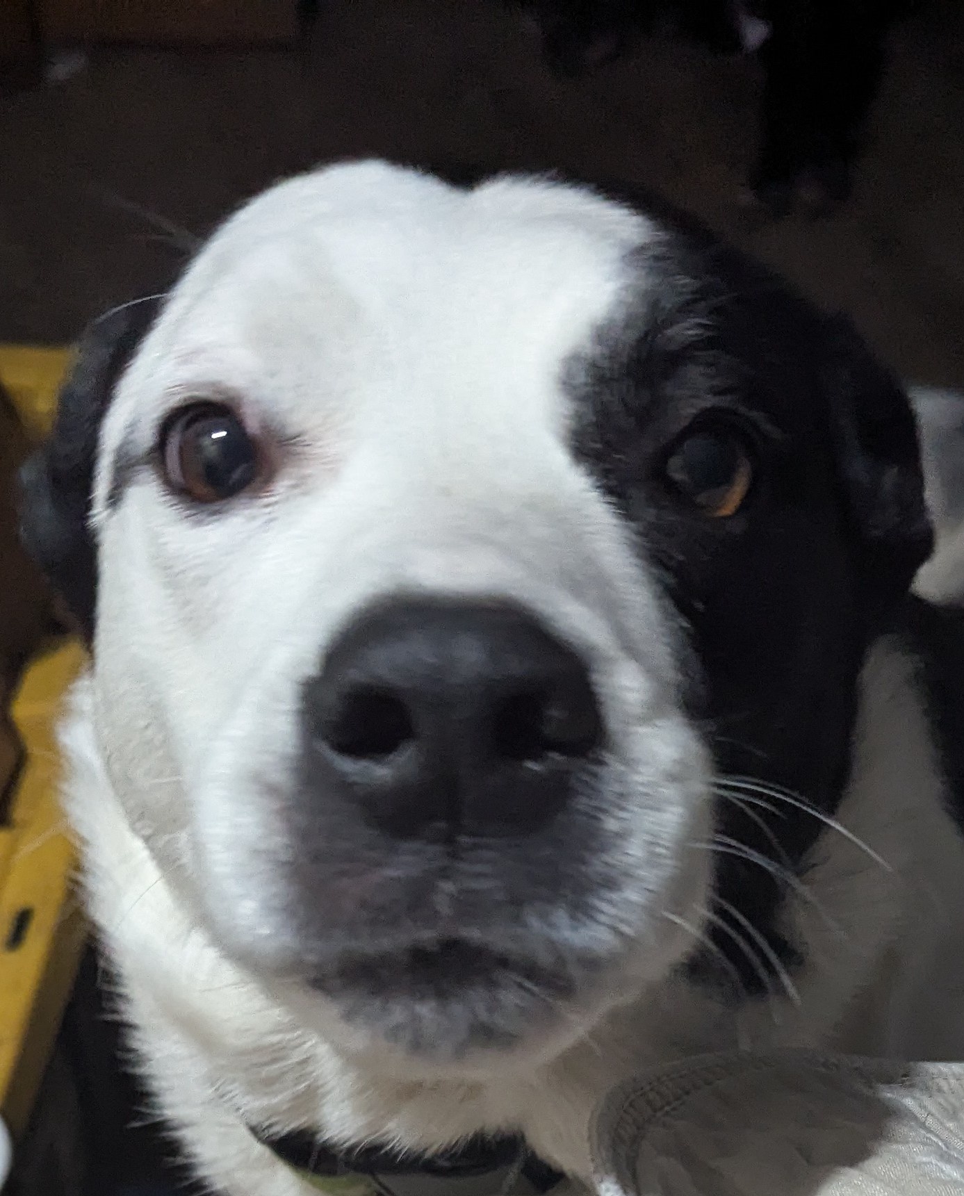 Christmas Morning Alarm: Perry asks, 'Are you up?'