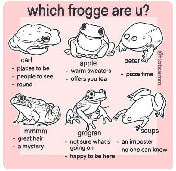 Which Frog Are You Channeling Today?