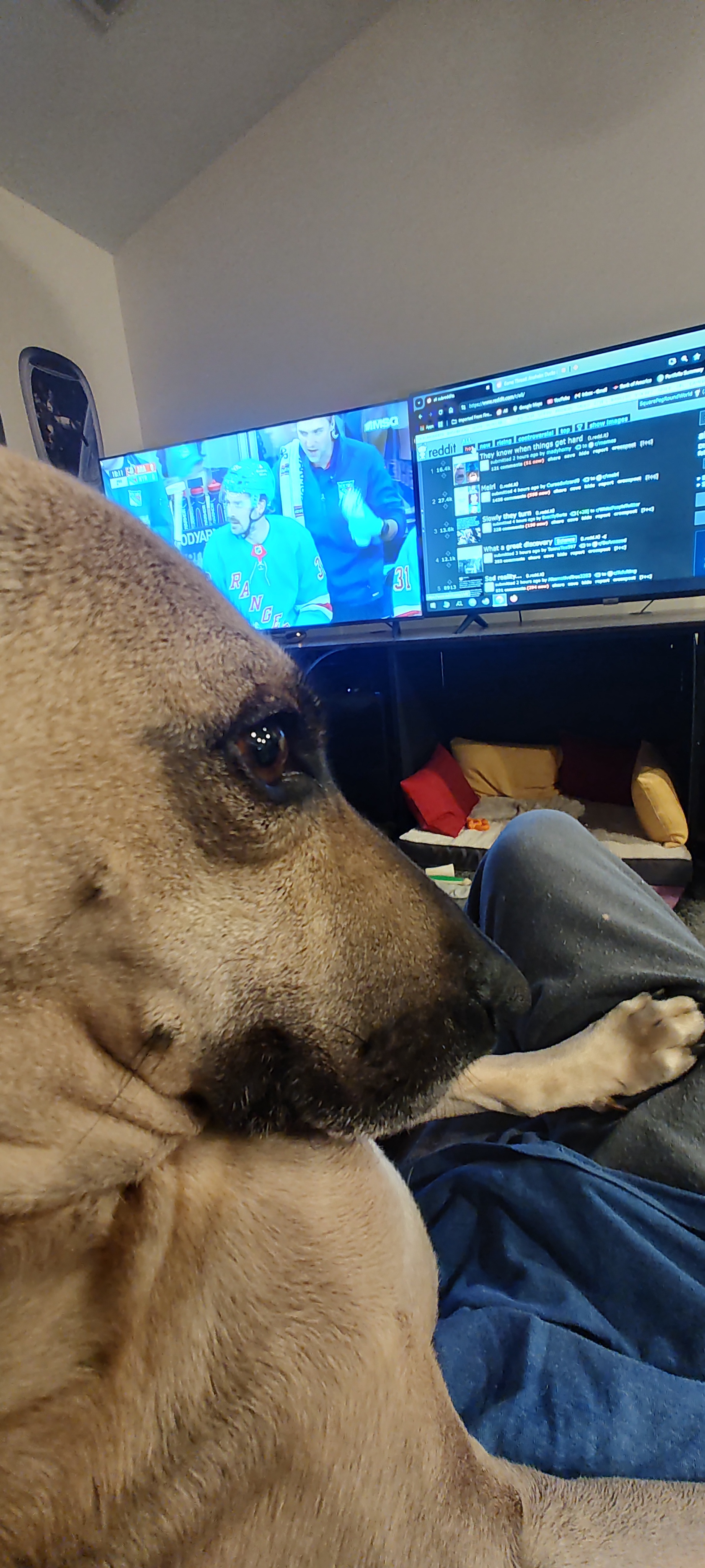 Maggie's Intermission: A Moment to Pause and Reflect