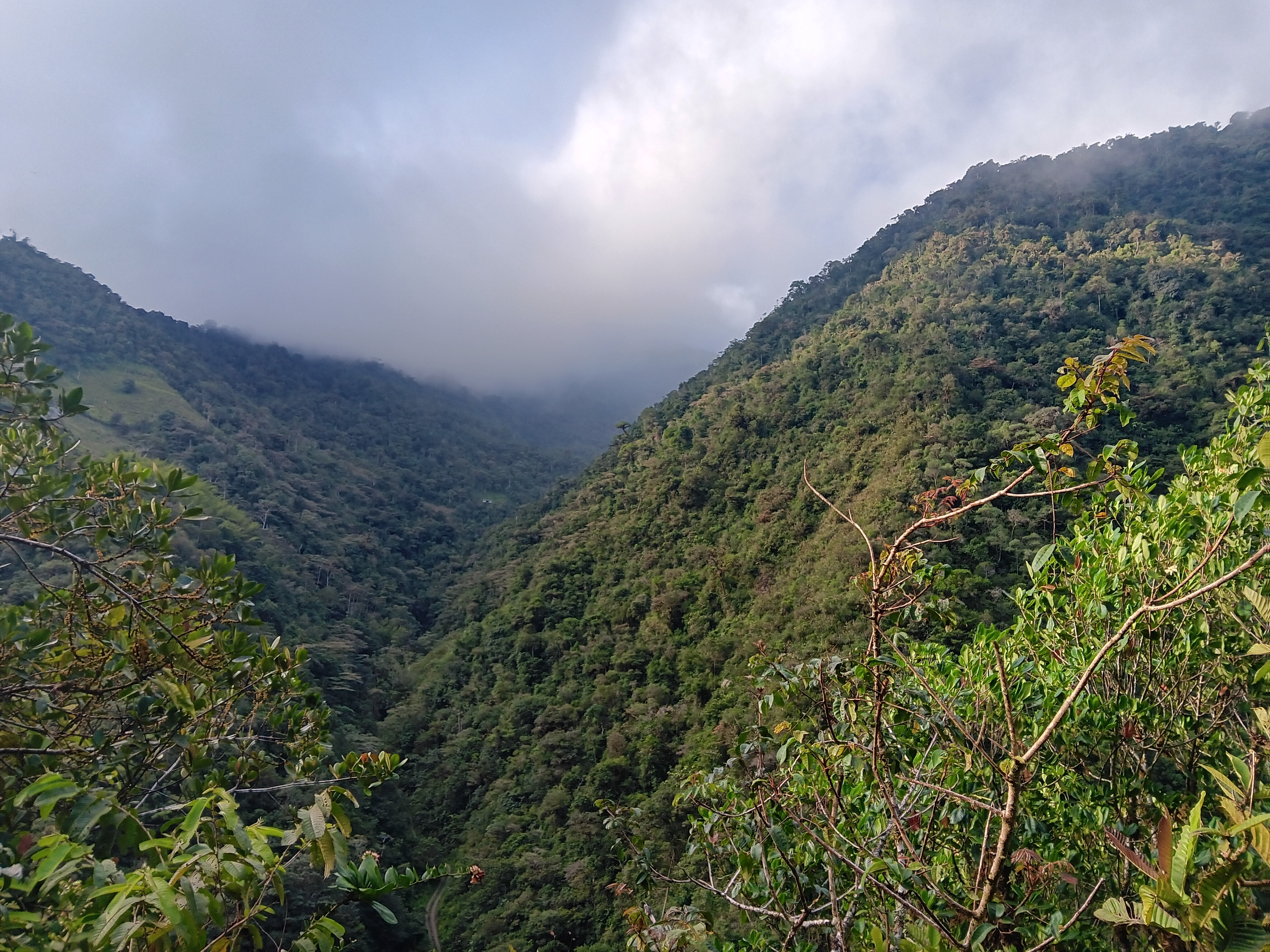 Discover the stunning Calima Lake nestled within a vibrant tropical forest