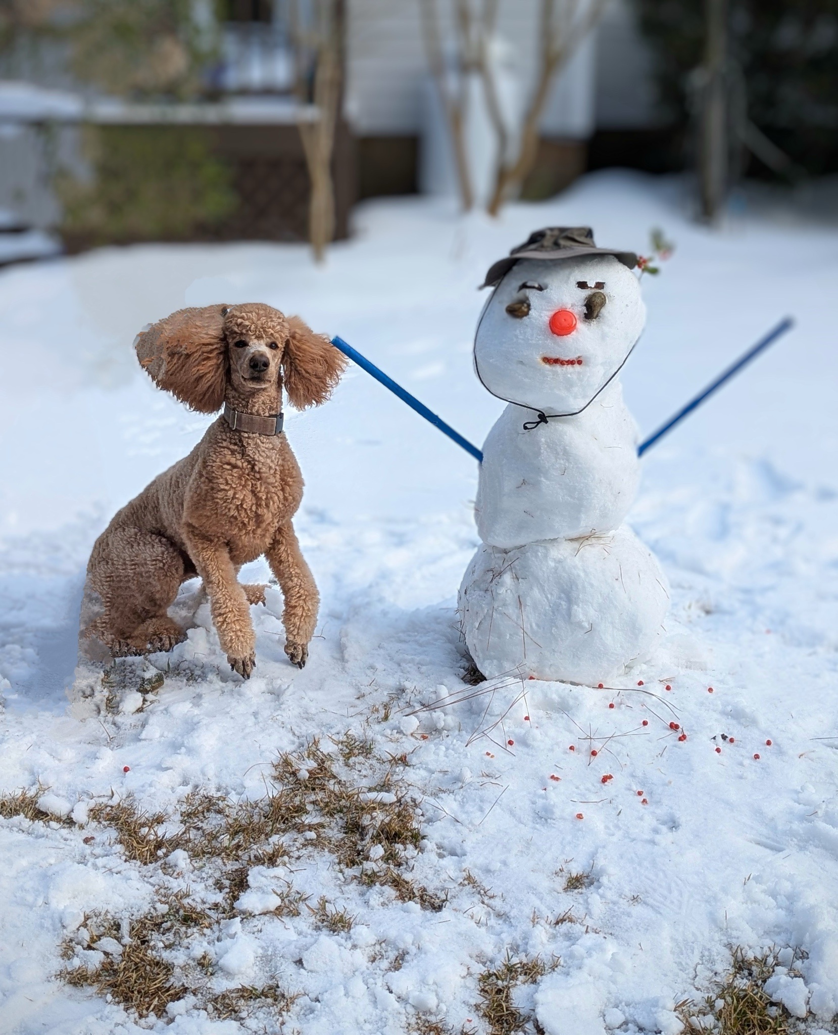 Embrace winter: It's time to build a snowman!