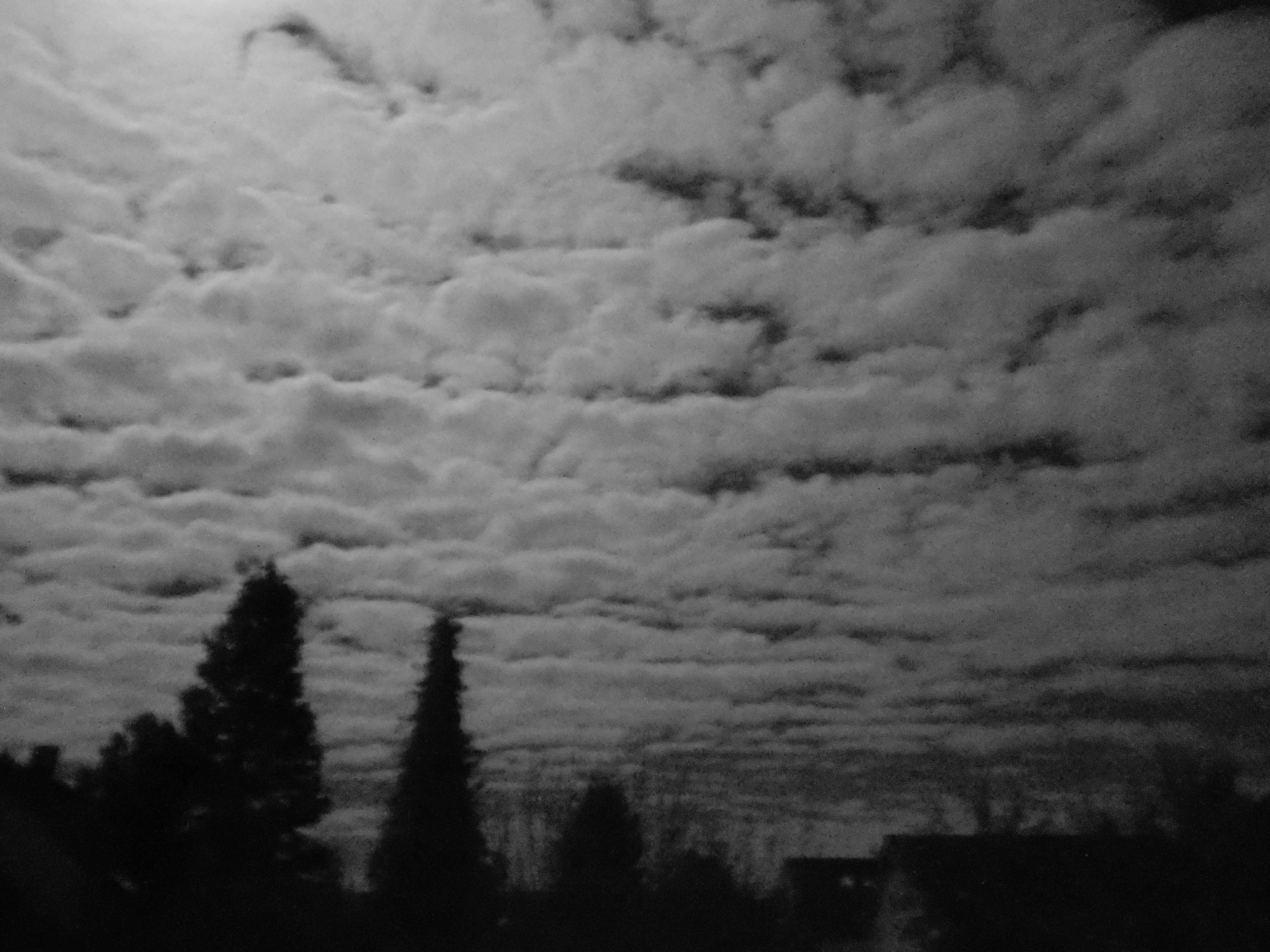 A Glimpse of Regensburg in Black-and-White, November 2023