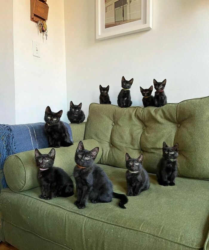 Meet the Halloween Squad!
