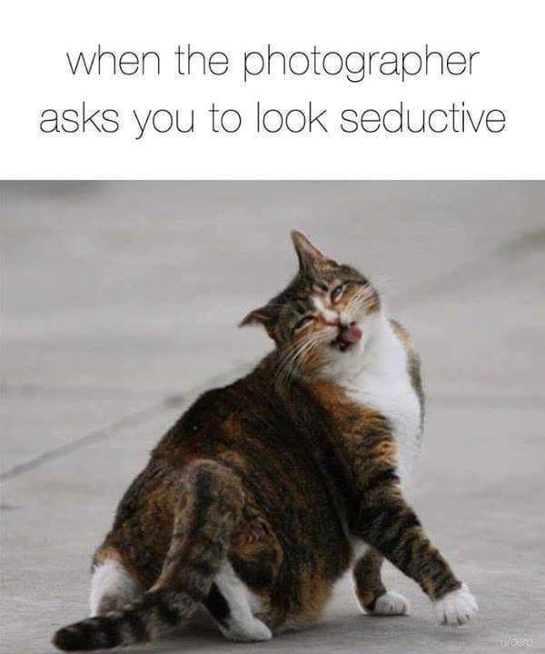 Strutting on the Catwalk