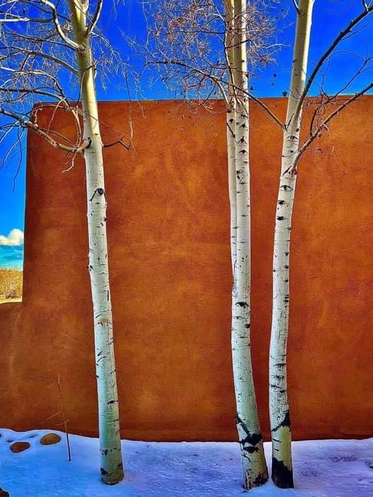 Art is All Around Us: Discovering Beauty in Everyday Life