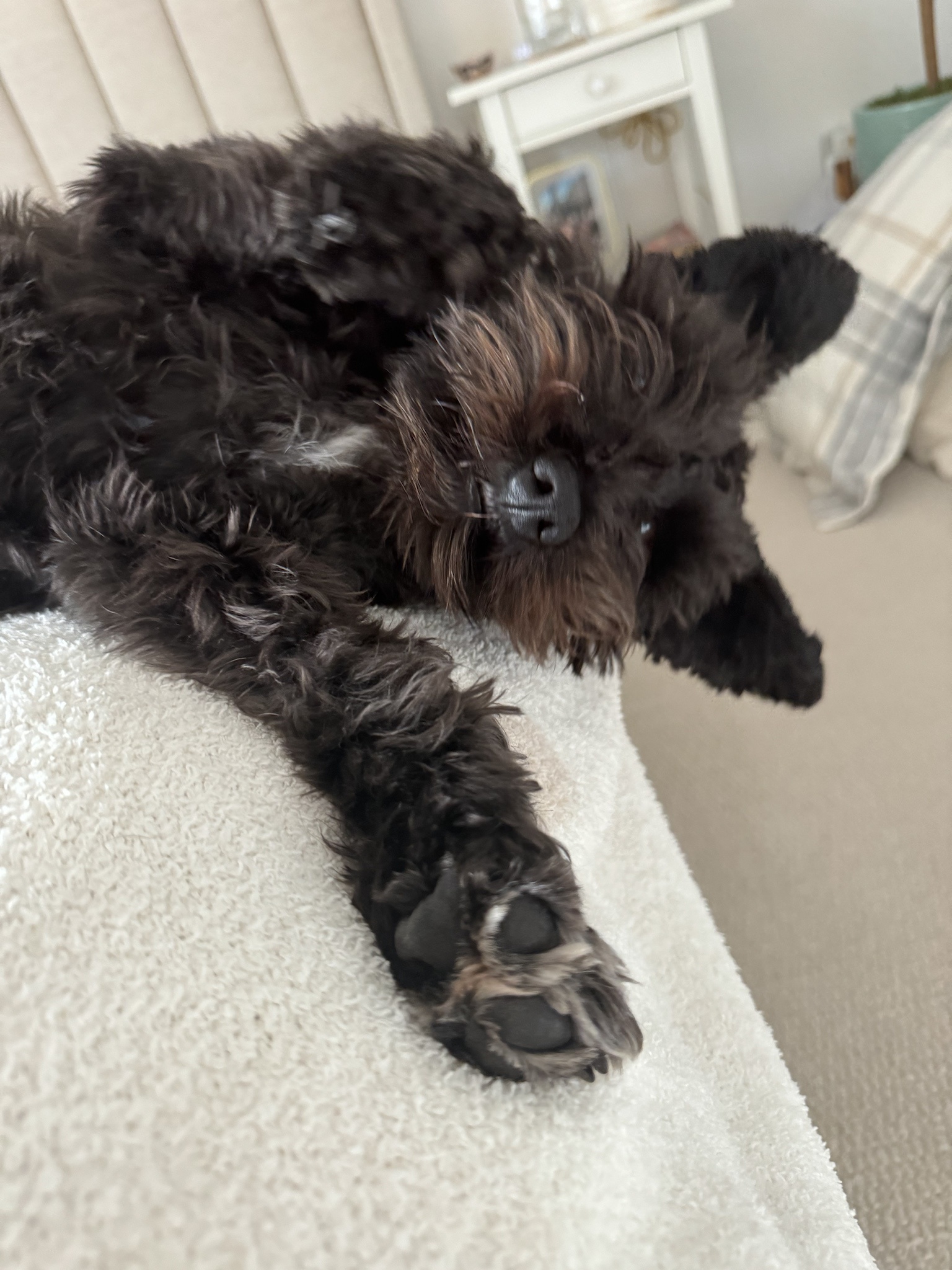 Your Daily Dose of Olive Inspiration