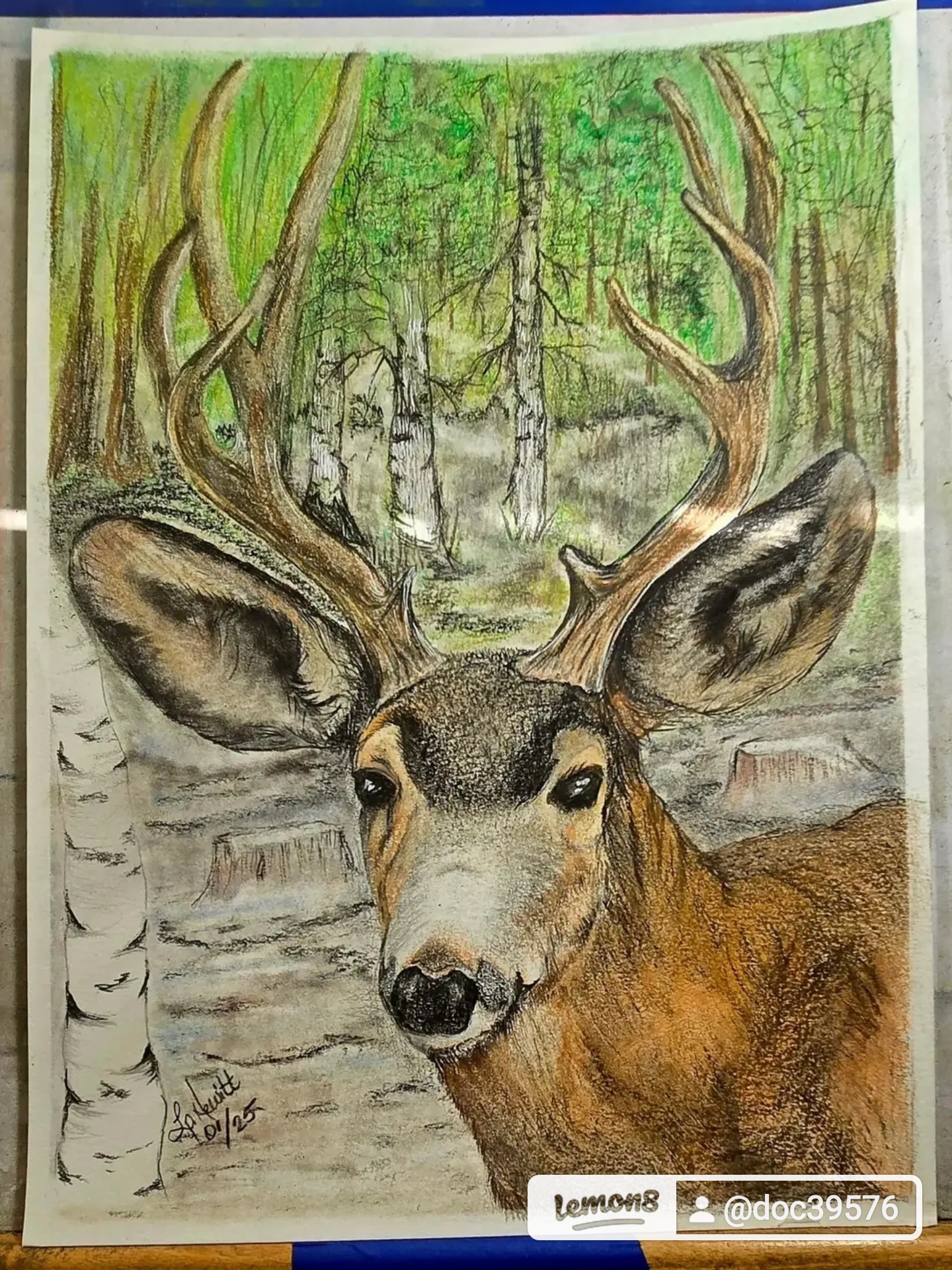 The Majestic Mule Deer in Its Natural Habitat