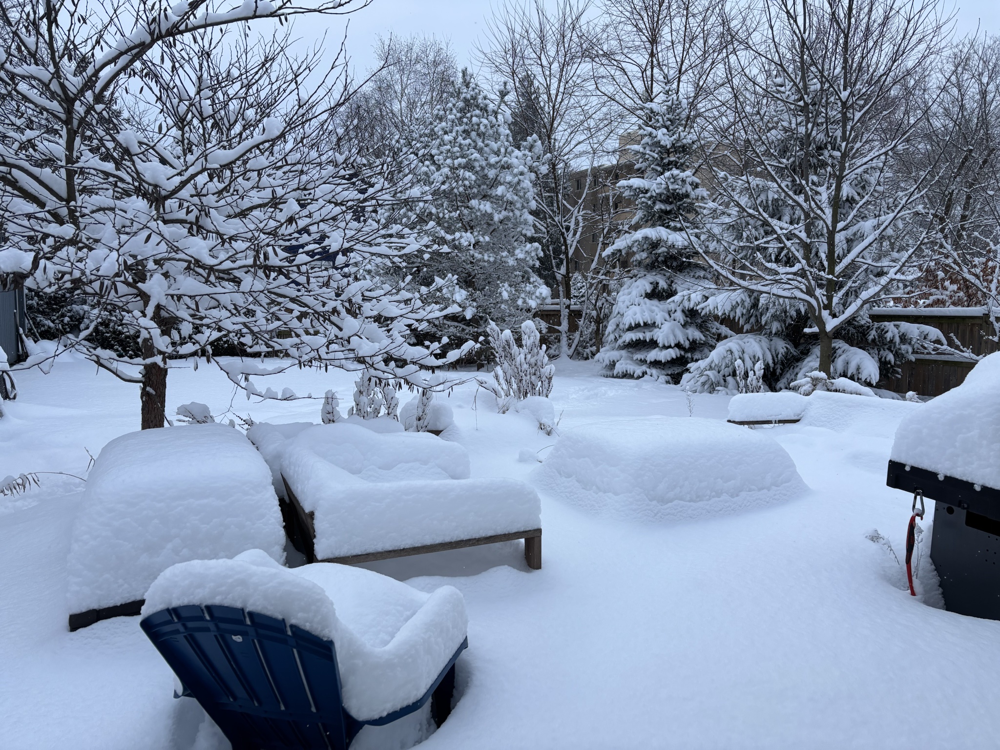 Who's up for a barbecue this weekend?