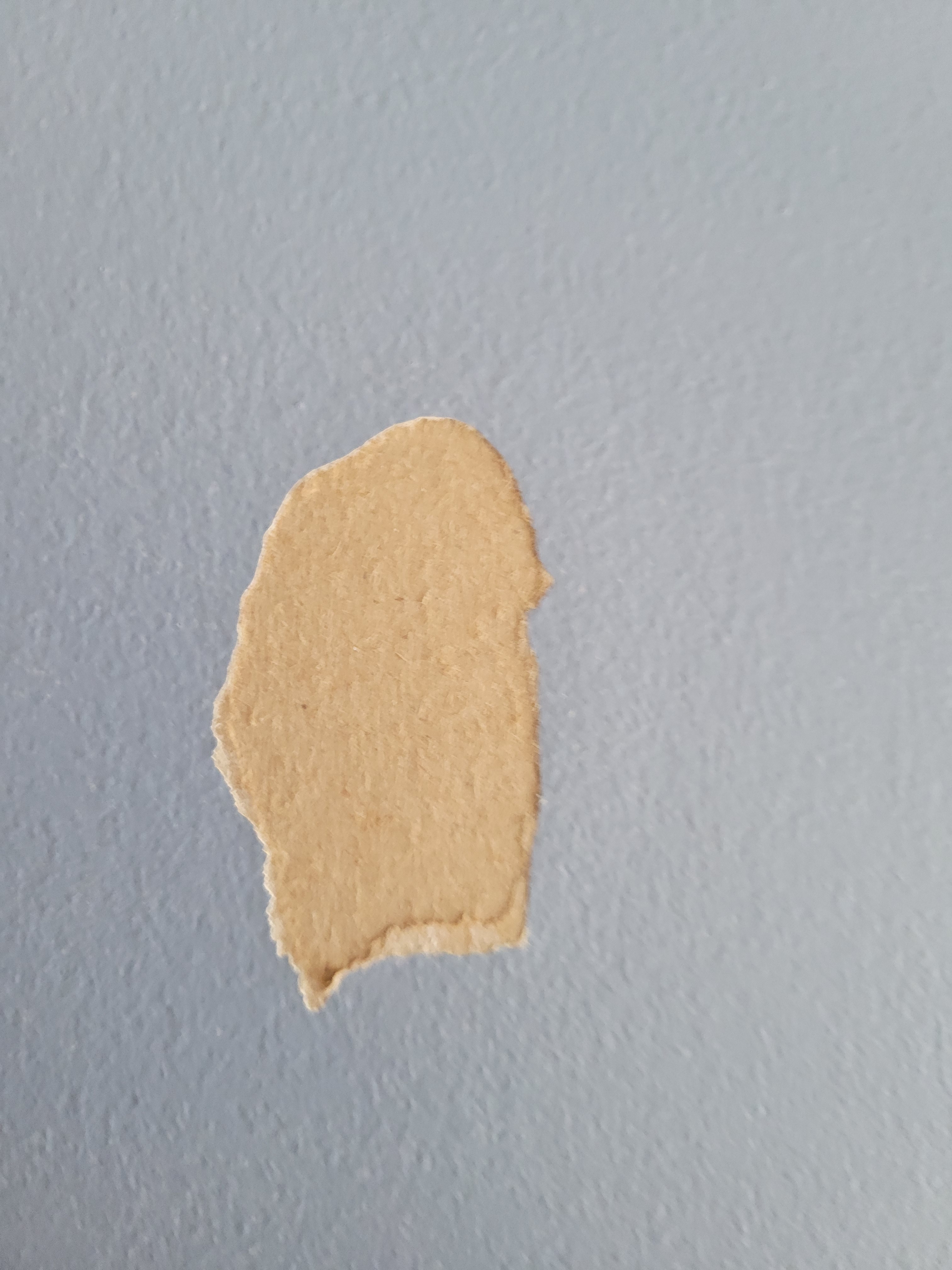 The Mystery of the Drywall Hole: What Lies Beneath?